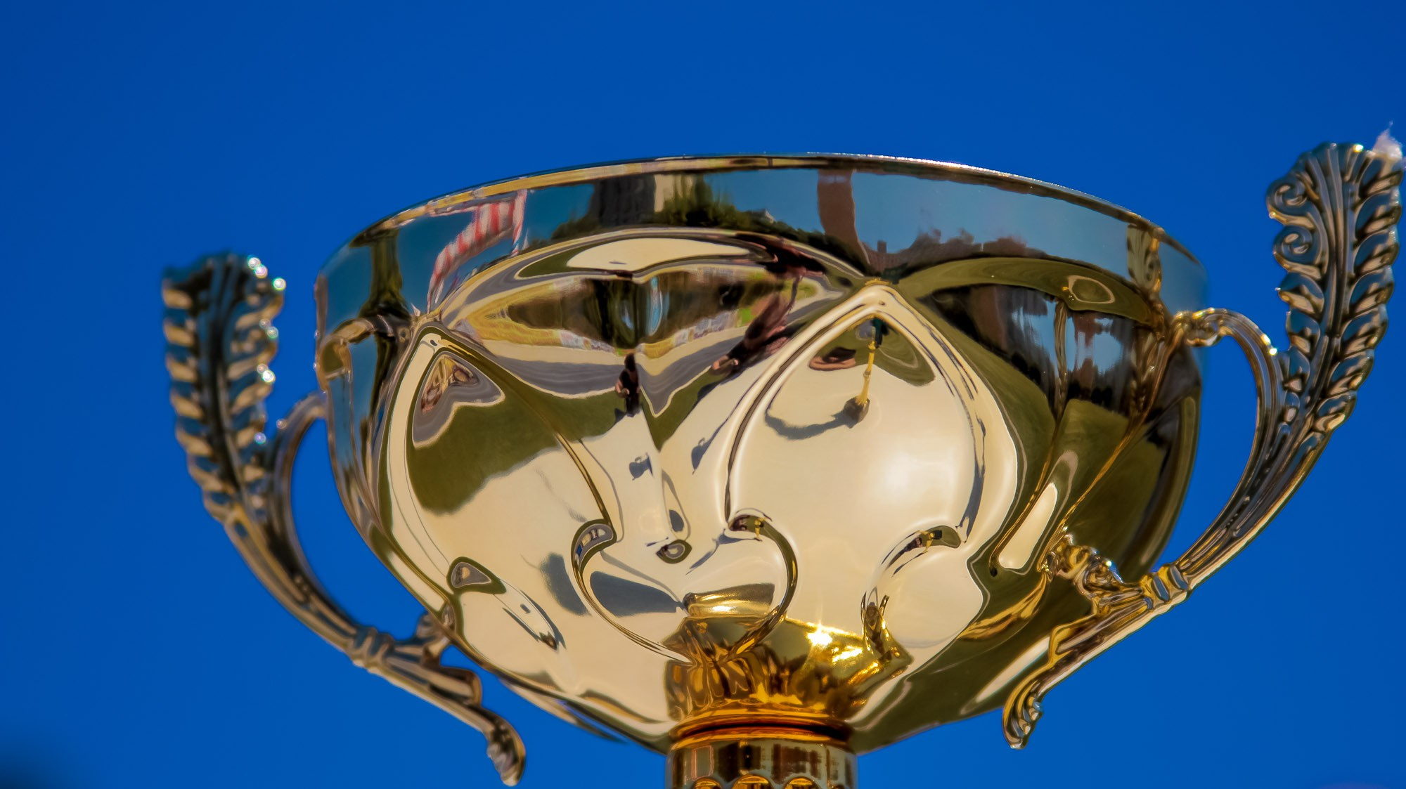 День Физкульт. Максим Матвийченко и Виктория Басова профессионалы своего дела