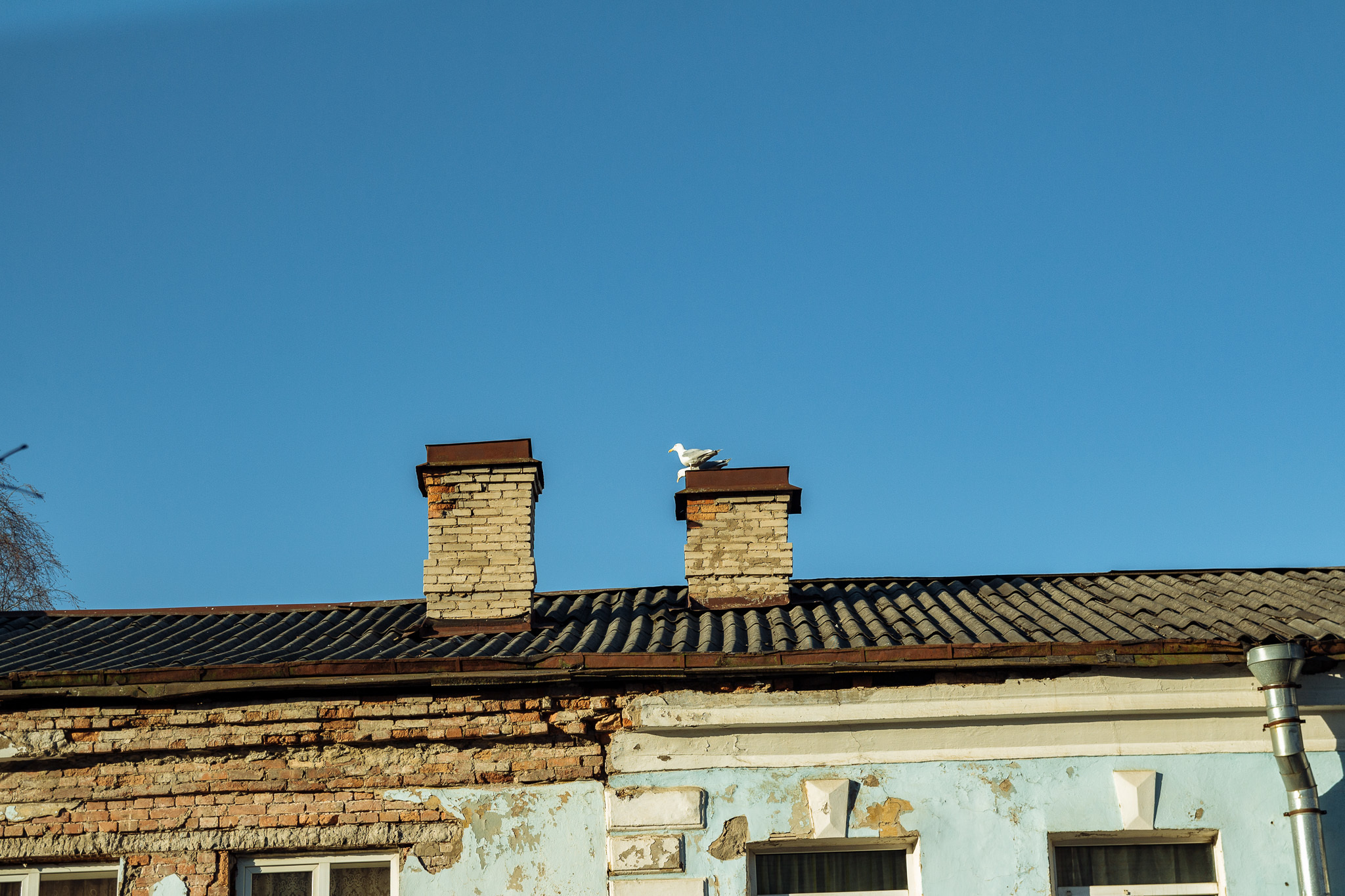 Гатчина • Весна • 2019. Творческая Мастерская Павла МАРЕЕВА