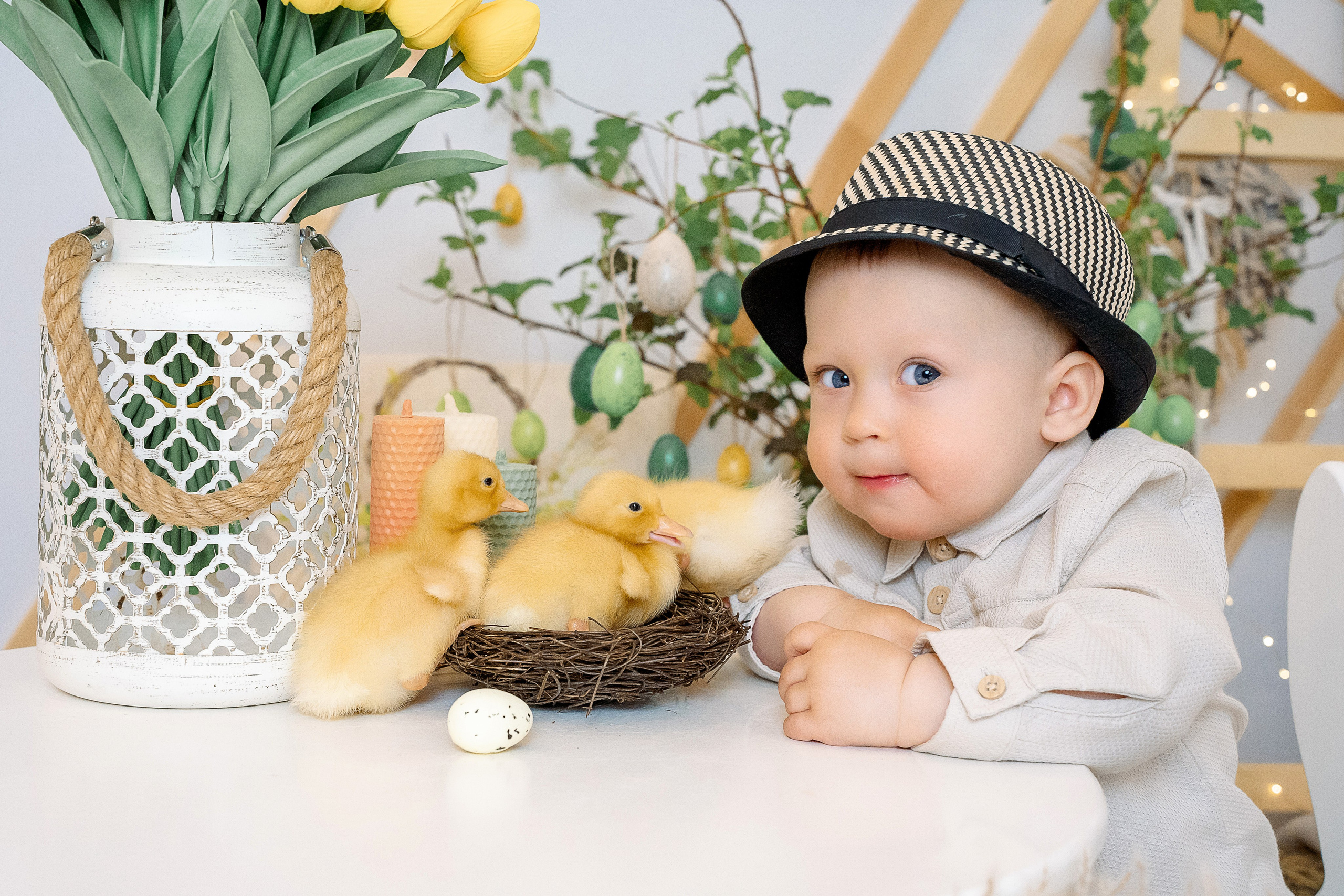 Утята. Фотограф Казакова Анастасия