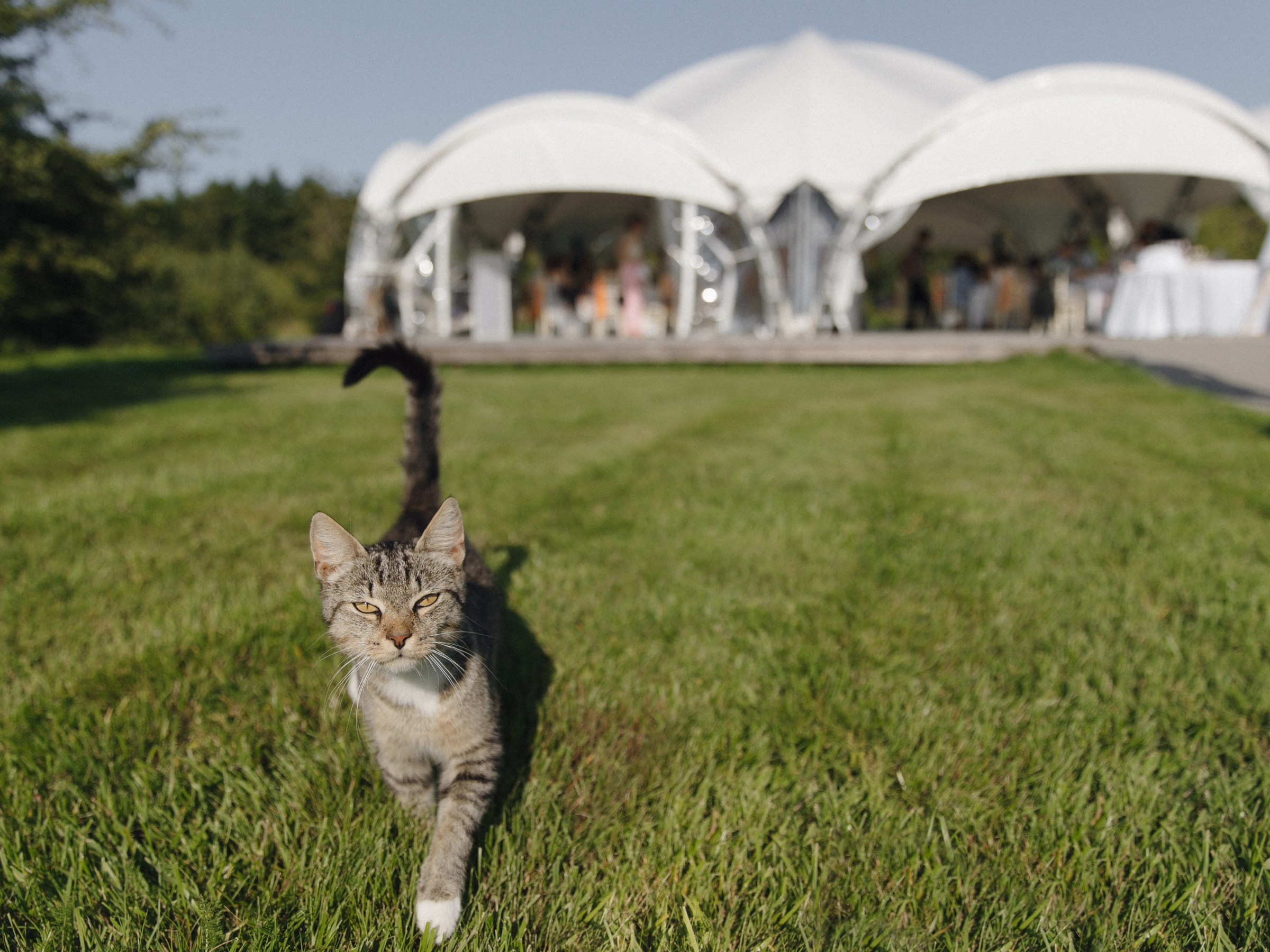 «FAMILY». Свадебный и семейный фотограф в Калининграде Ольга Мешечкова
