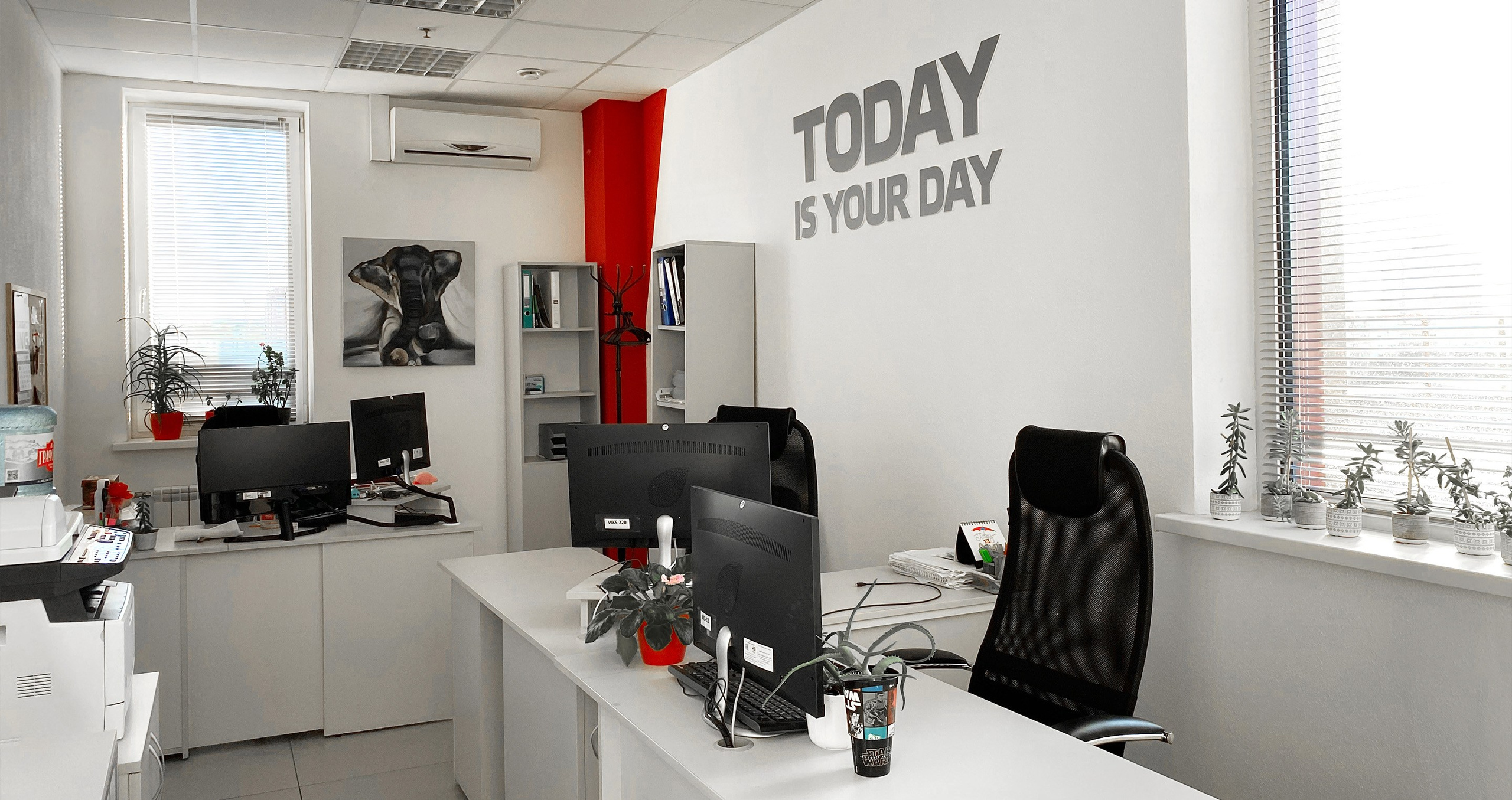 HiQo Solutions. Alexandrovna photography