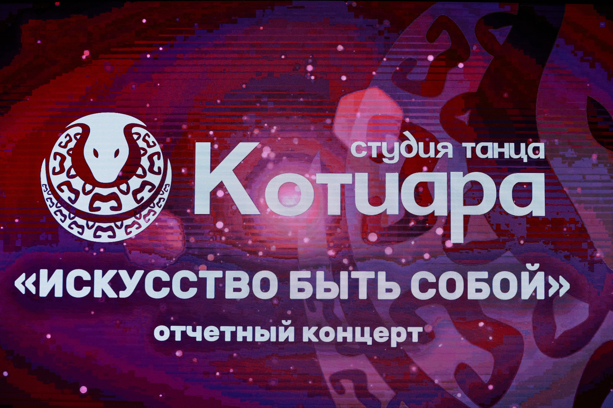 Котиара _ Отчетник. Фотограф Юлия Мальцева