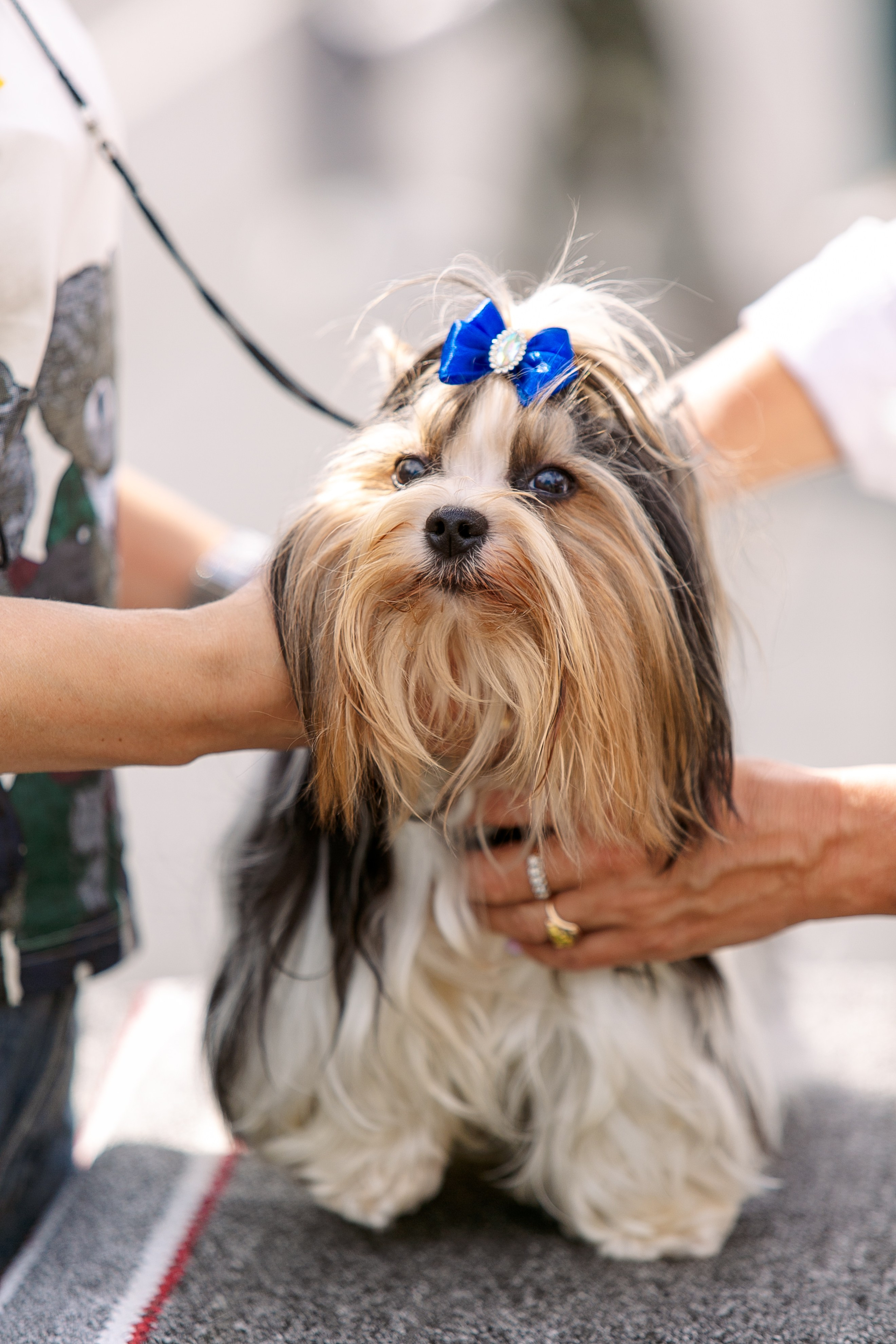 Окунулась вновь в атмосферу выставки…. Школьный фотограф в Туле Светлана Привезенцева
