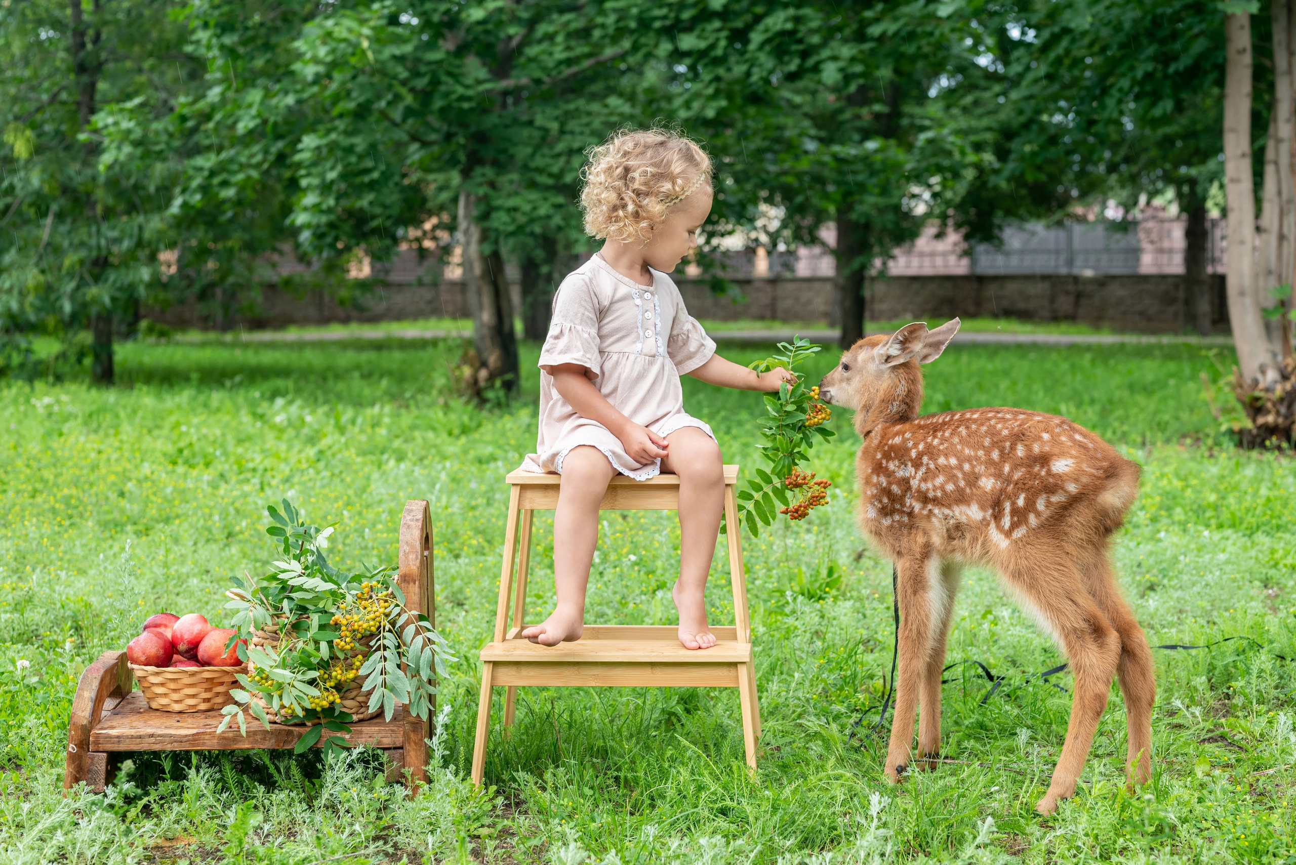 Фотопроект *Оленёнок Бэмби*. Фотограф в городе Салават