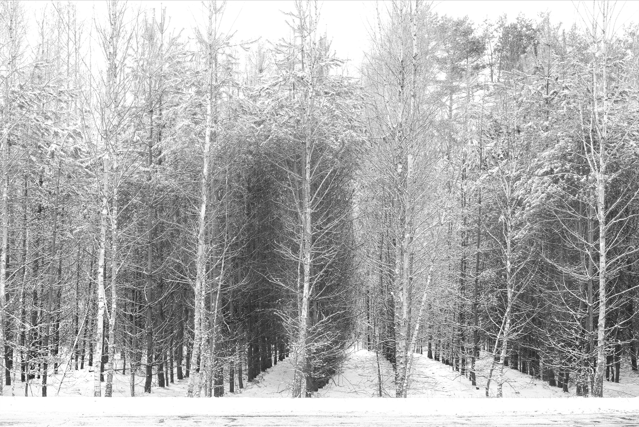 ЧБ  пейзажи (BnW landscape). Фотограф (photographer) Lischinski Vitaliy