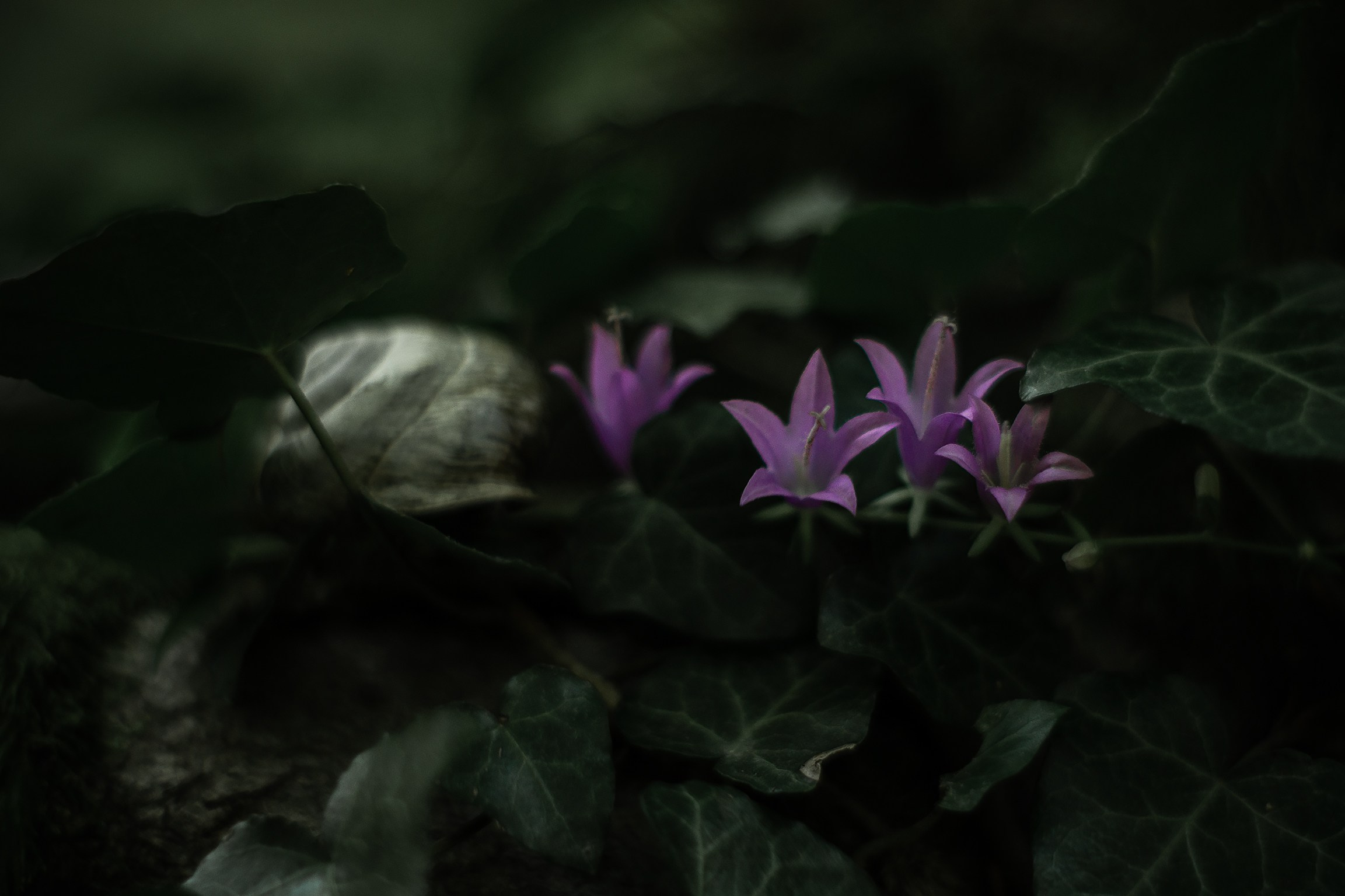 Предметные съемки. Фотограф в Санкт-Петербурге и ЛО Егор Ставер