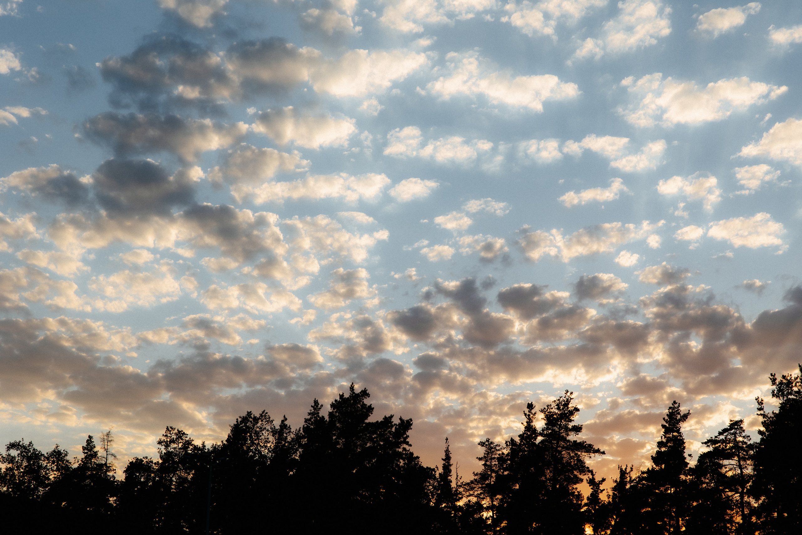 Ирина и Александр. Алена Бадамшина — свадебный фотограф Воронеж / Москва