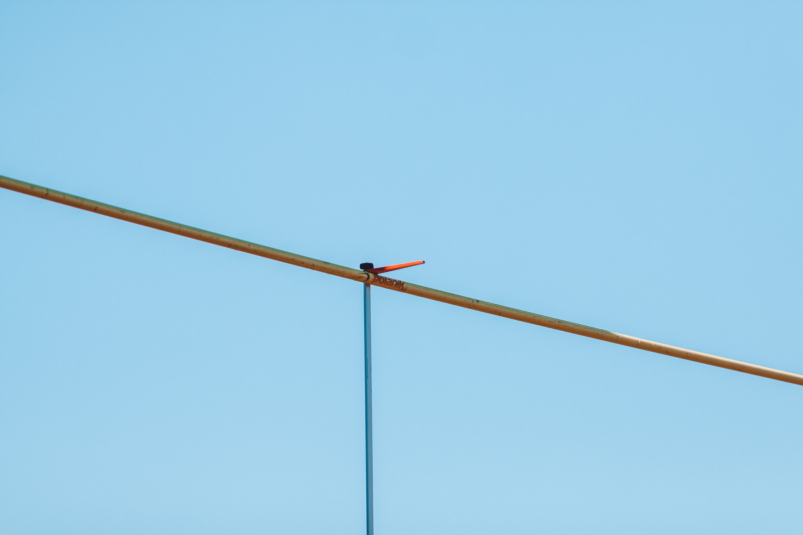 Кубок России по легкой атлетике. Фотография