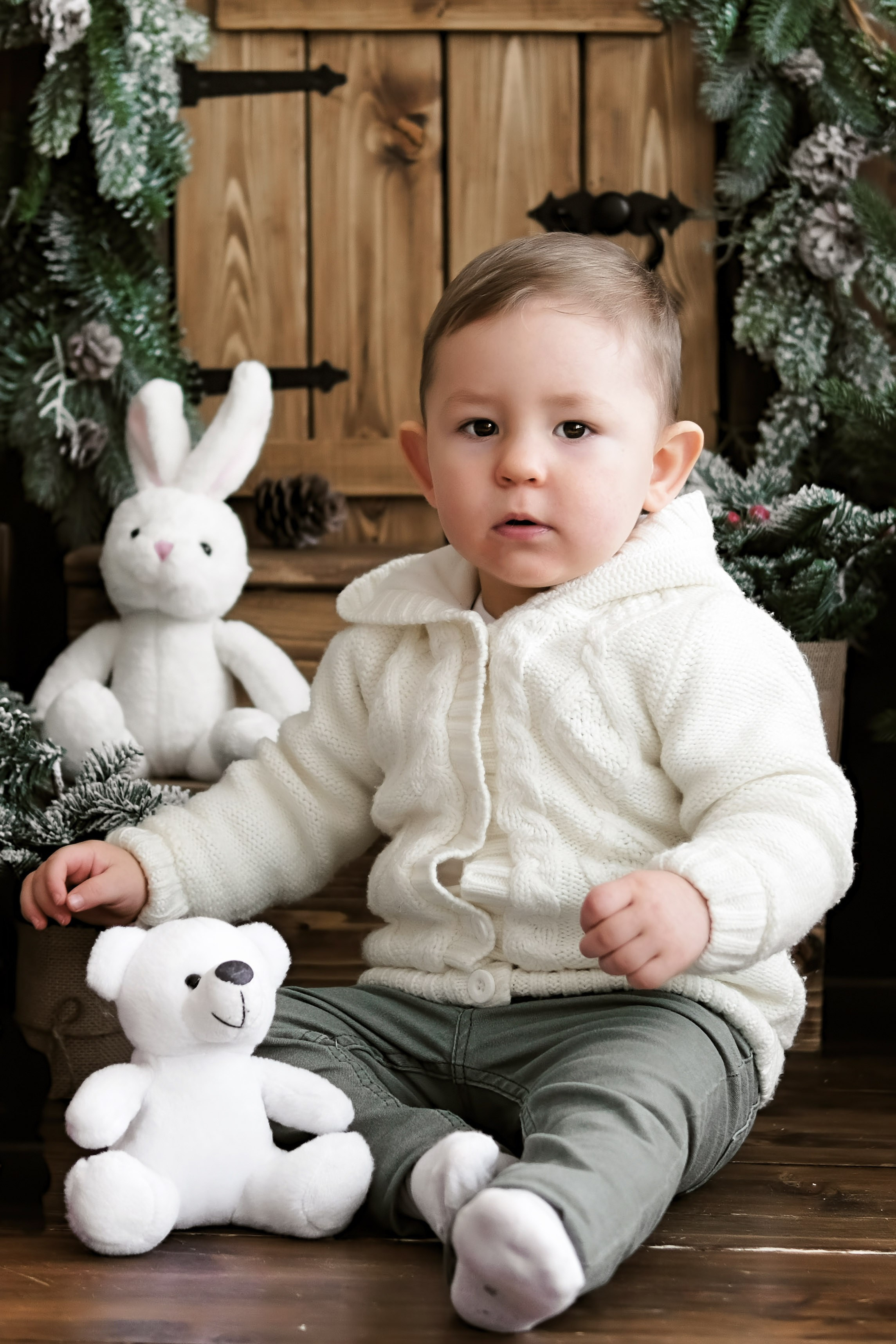 Новогодняя 1. Фотограф в Самаре Татьяна Дубаносова