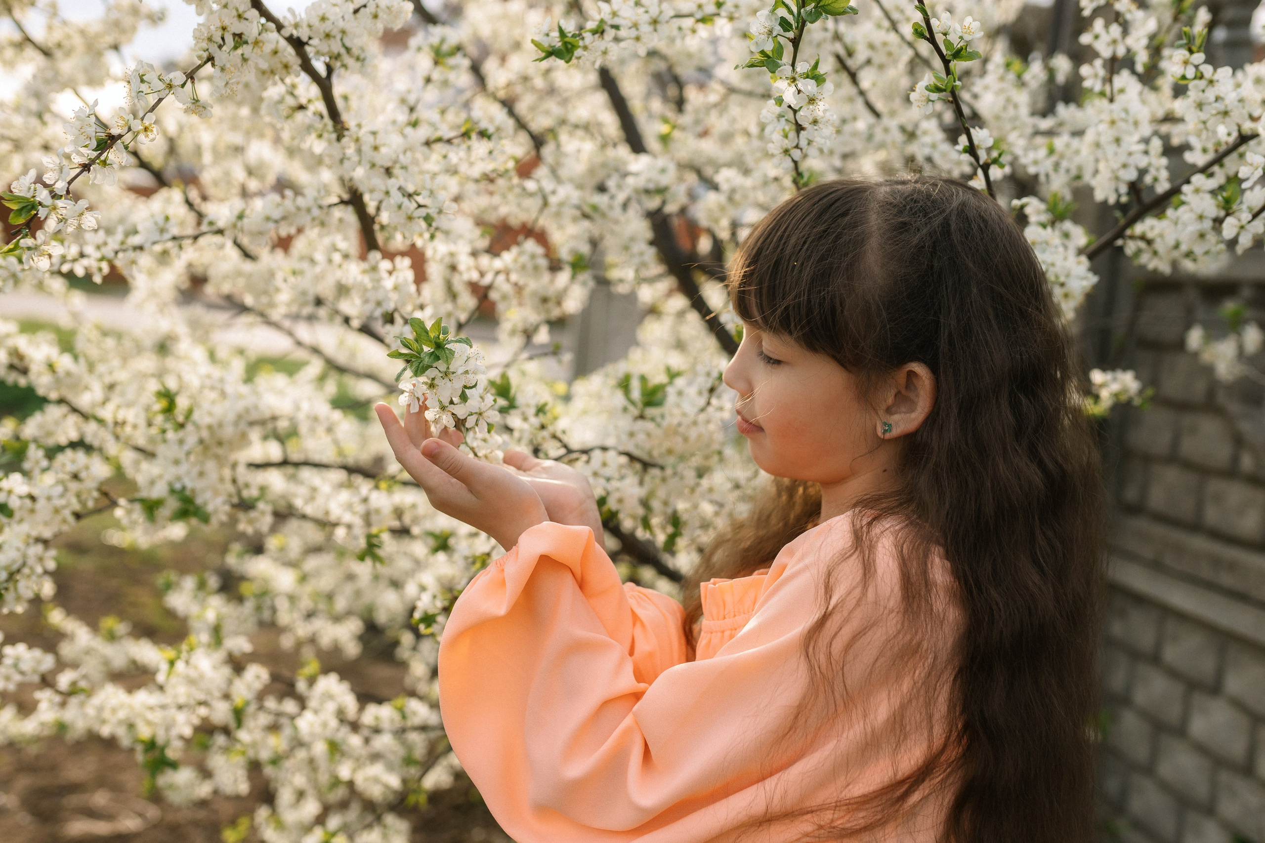 Цветение. Детский и семейный фотограф г. Чебоксары Оля Горбунова