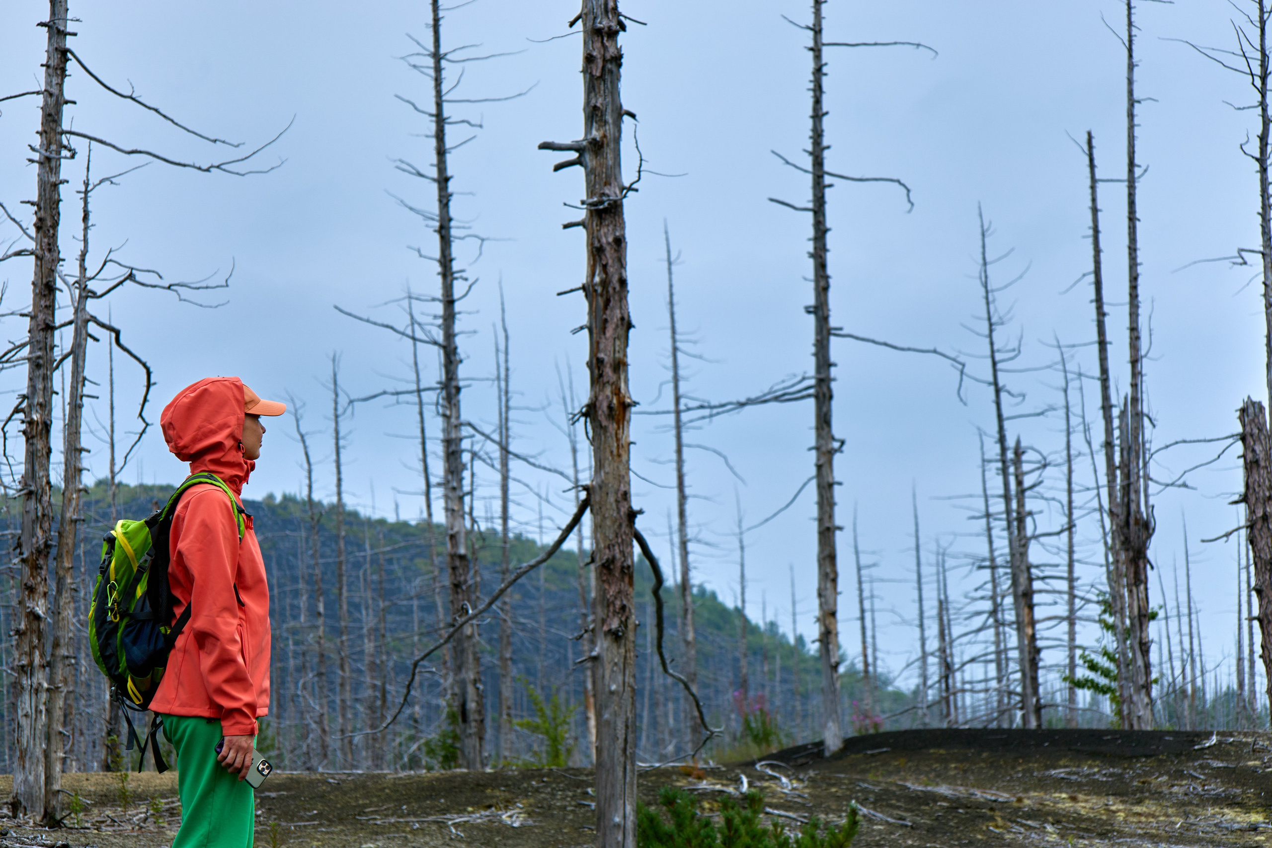 Камчатка. Travel-фотограф Ирина Милинцова