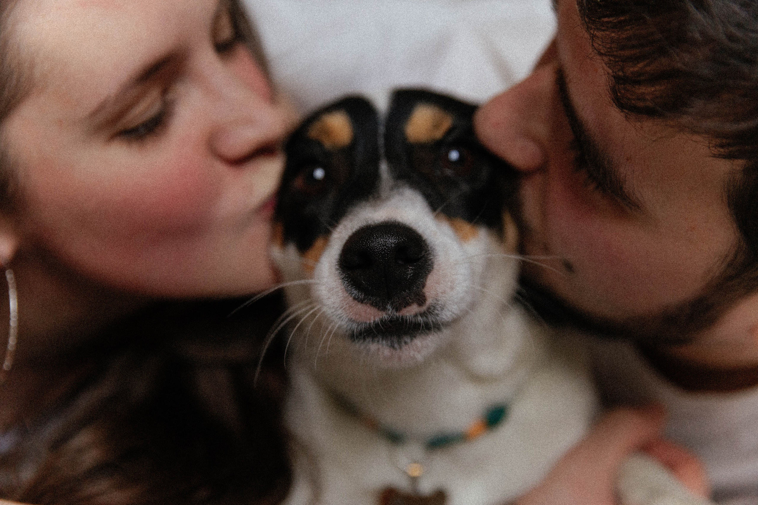 Дарья и Егор. Свадебный и семейный фотограф в Челябинске