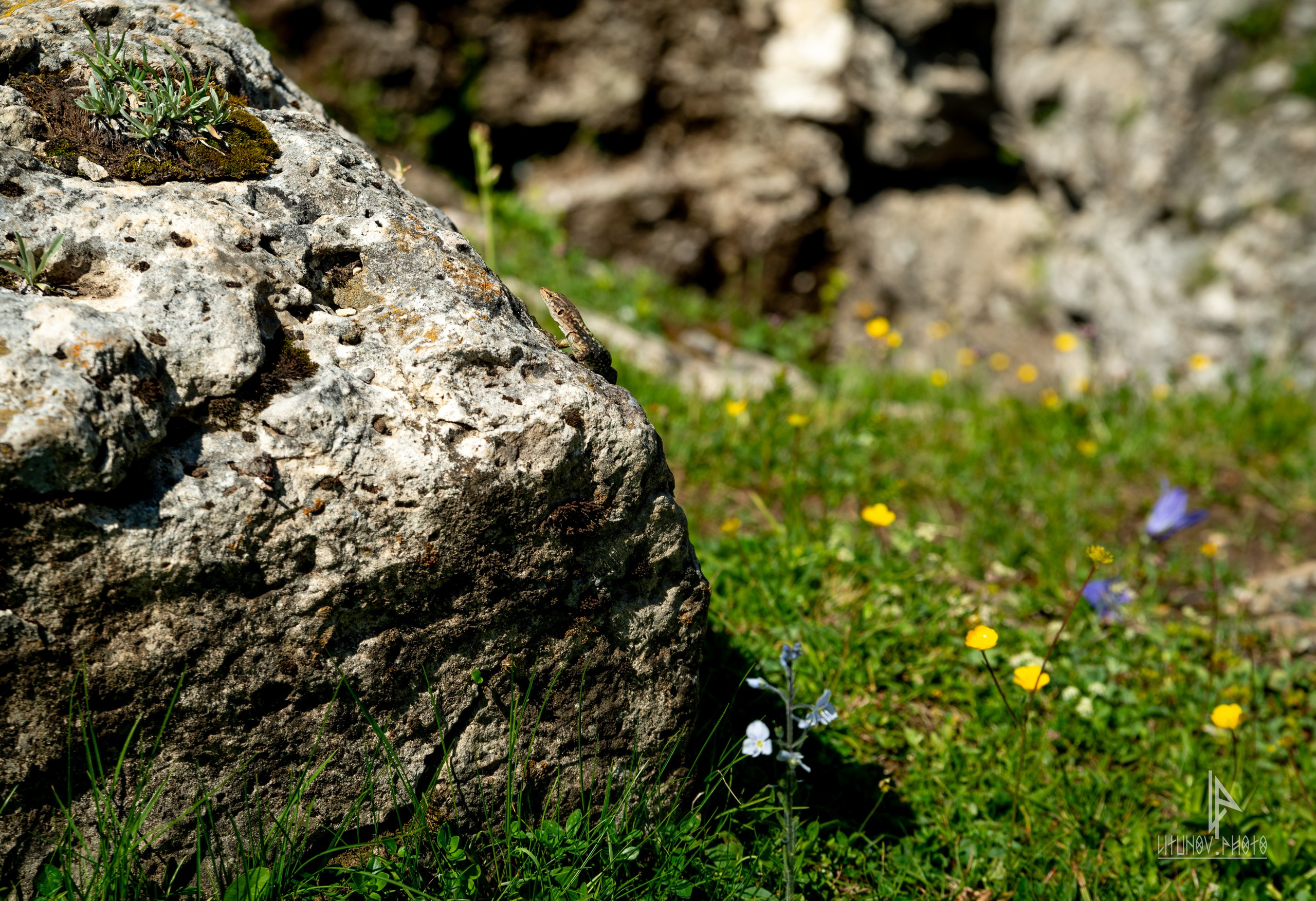Адыгея. Спортивный и репортажный фотограф Дмитрий Литунов Москва