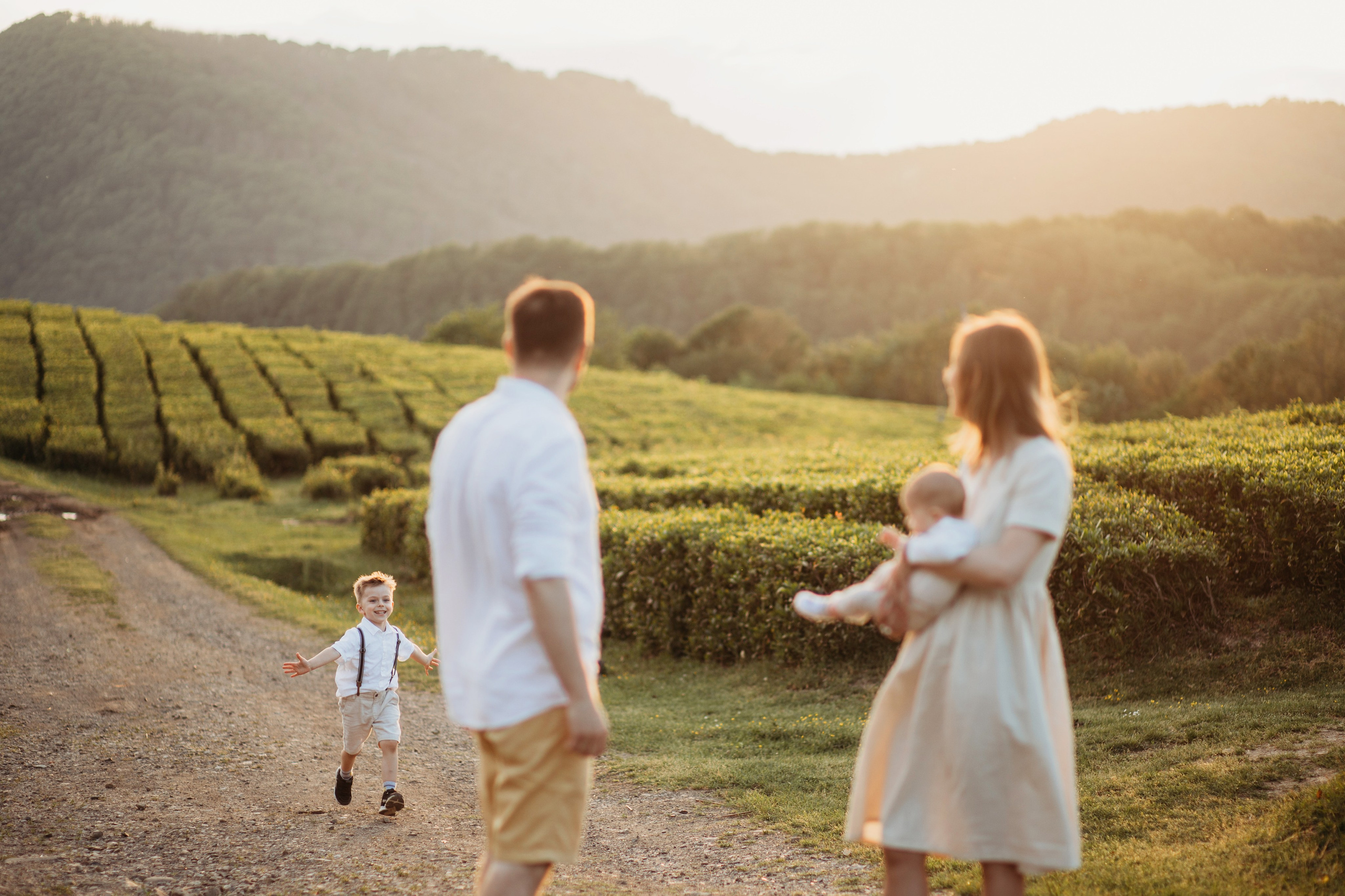 Чайные плантации мацеста. Фотограф Сочи Татьяна Зорина