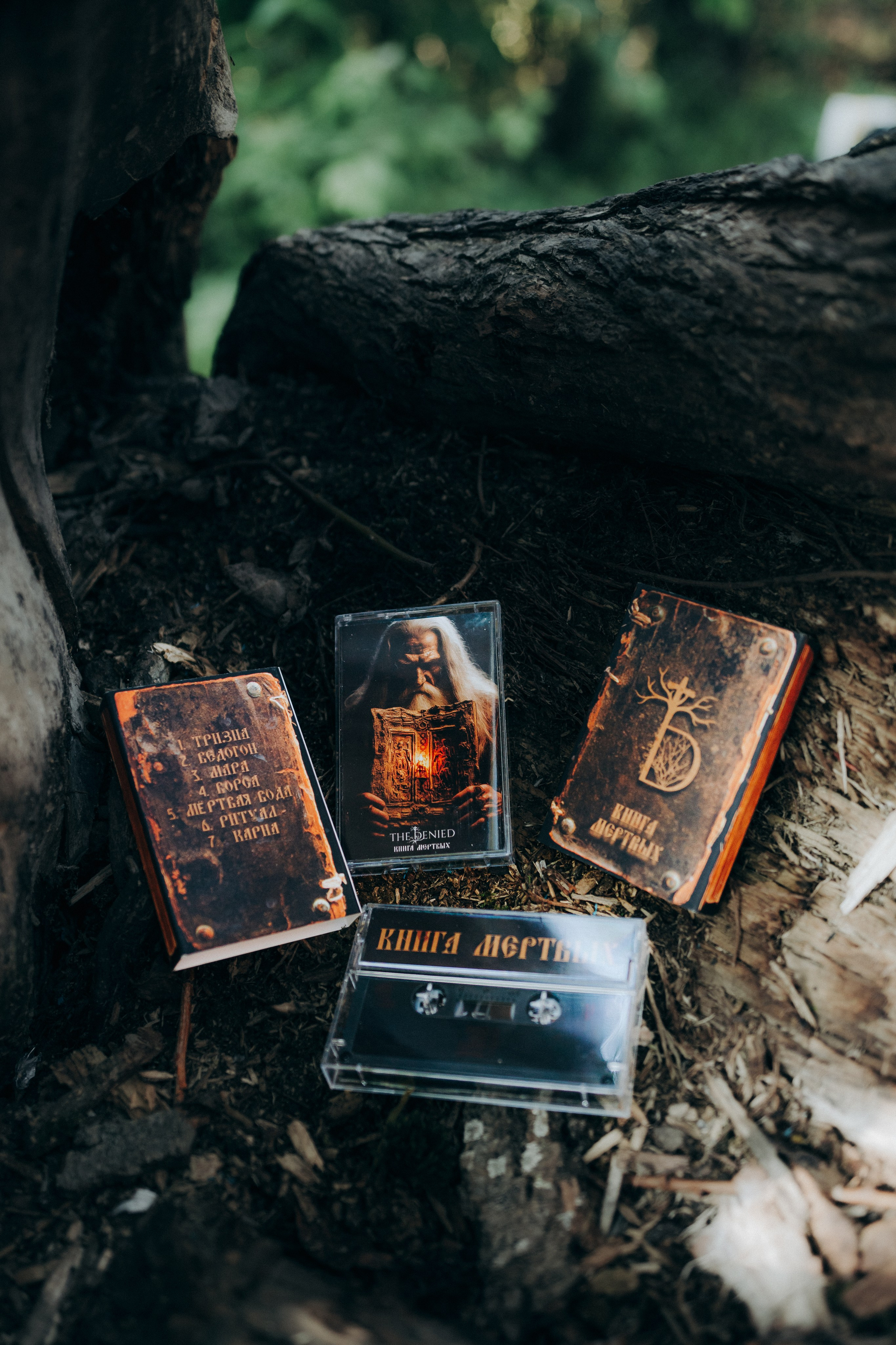 Мерч для The Denied