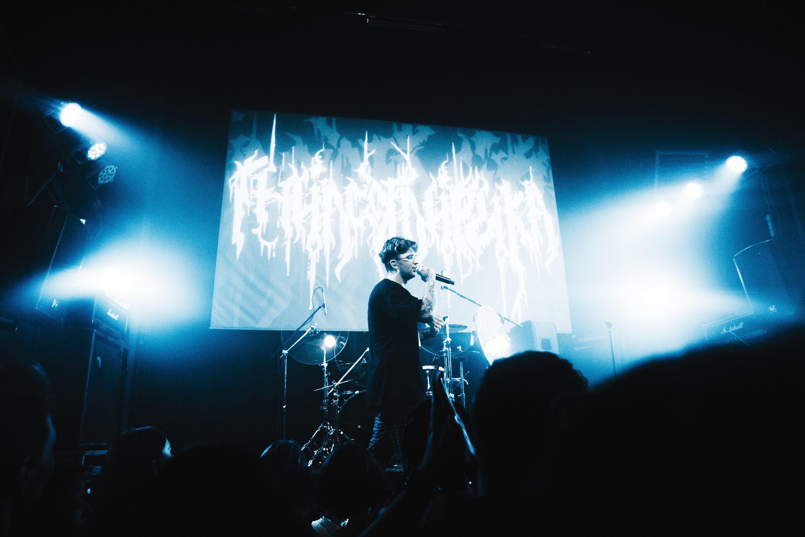 Гнилаялирика | 05.10.25 | Ласточка