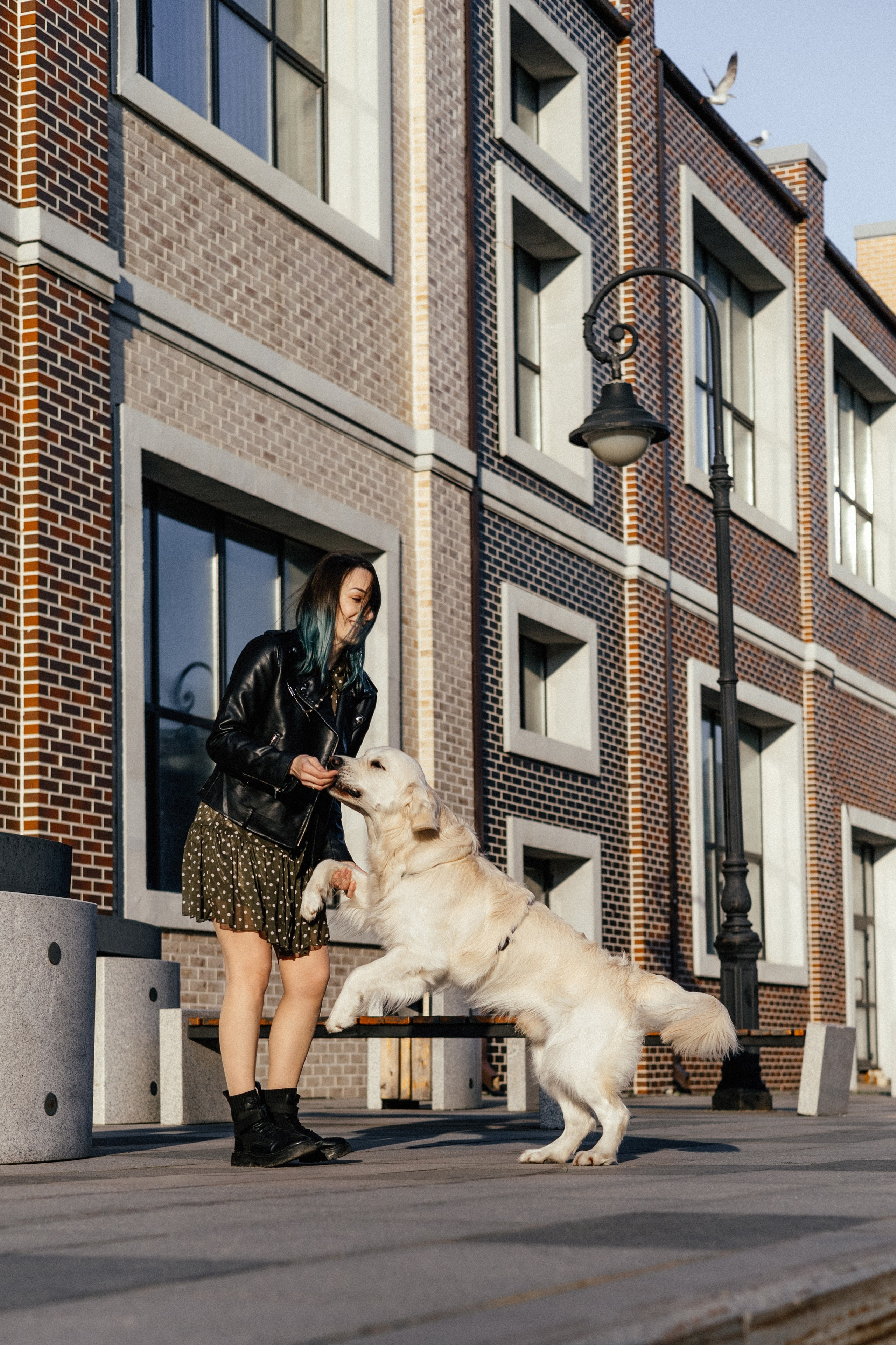 Ира и Байрон. Фотограф — анималист Владивосток, Алина