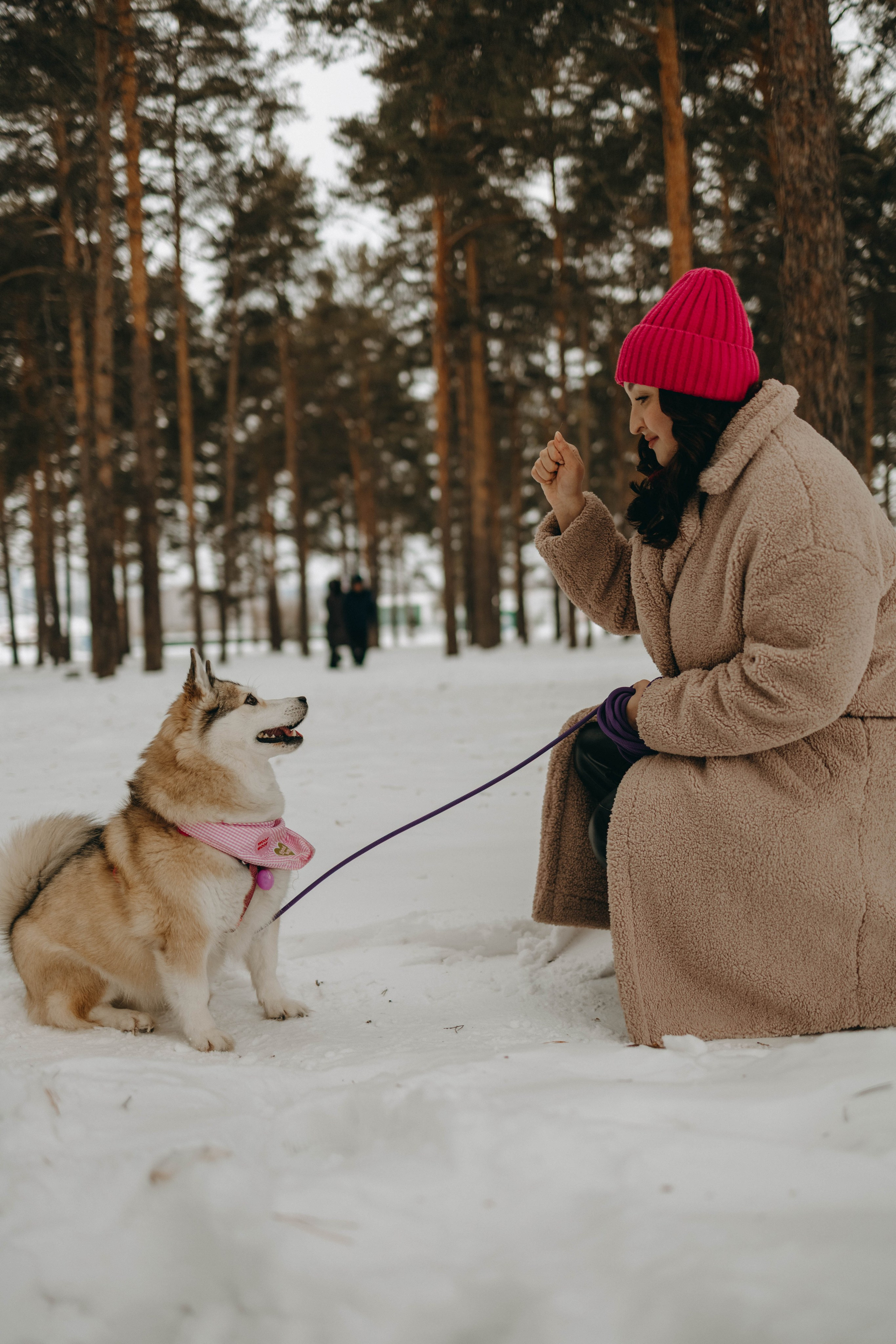 Варвара и Шелби. Фотограф-анималист в Екатеринбурге | Кристина