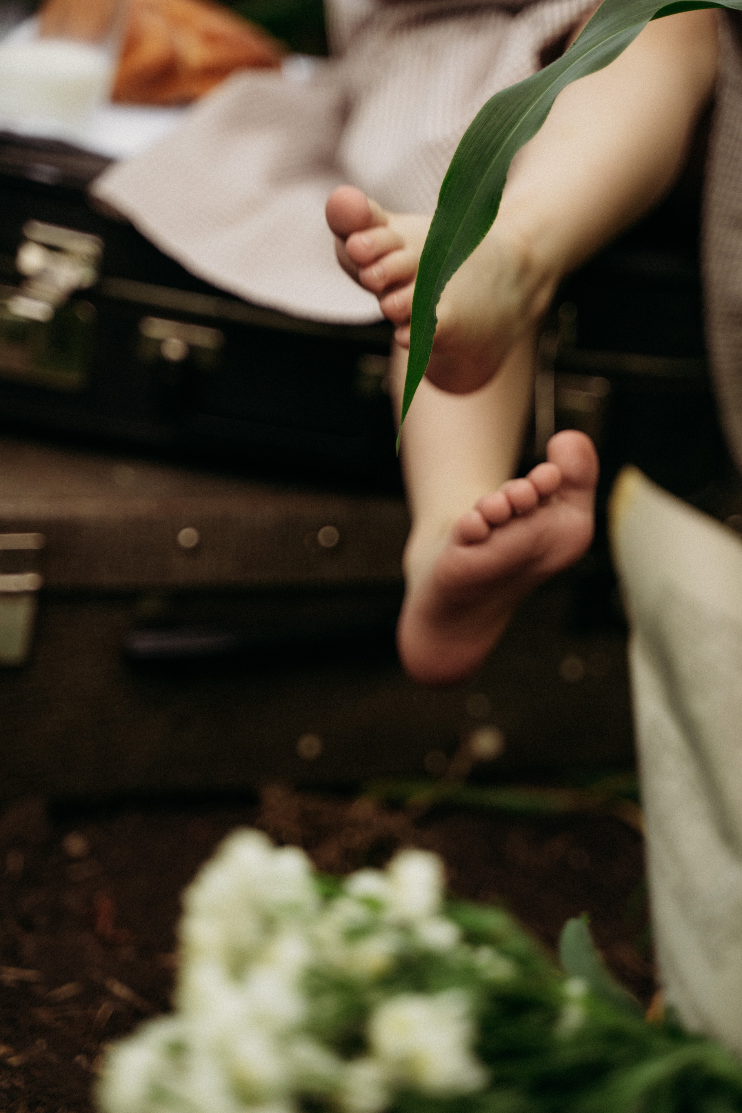 Фотосессия в Кукурузе