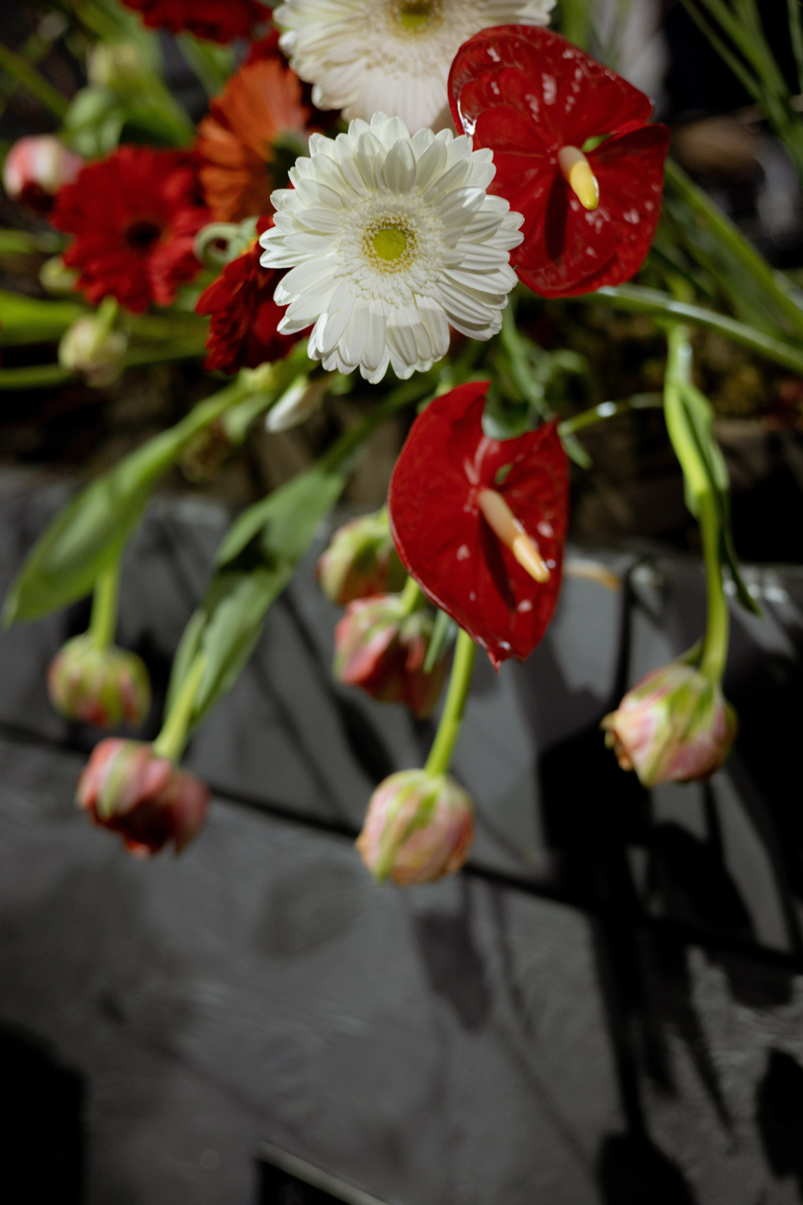 Оформление Отчетного концерта Музыкальной школы Глазунова. Оформление свадеб, декор свадеб Вера Маркова, Москва