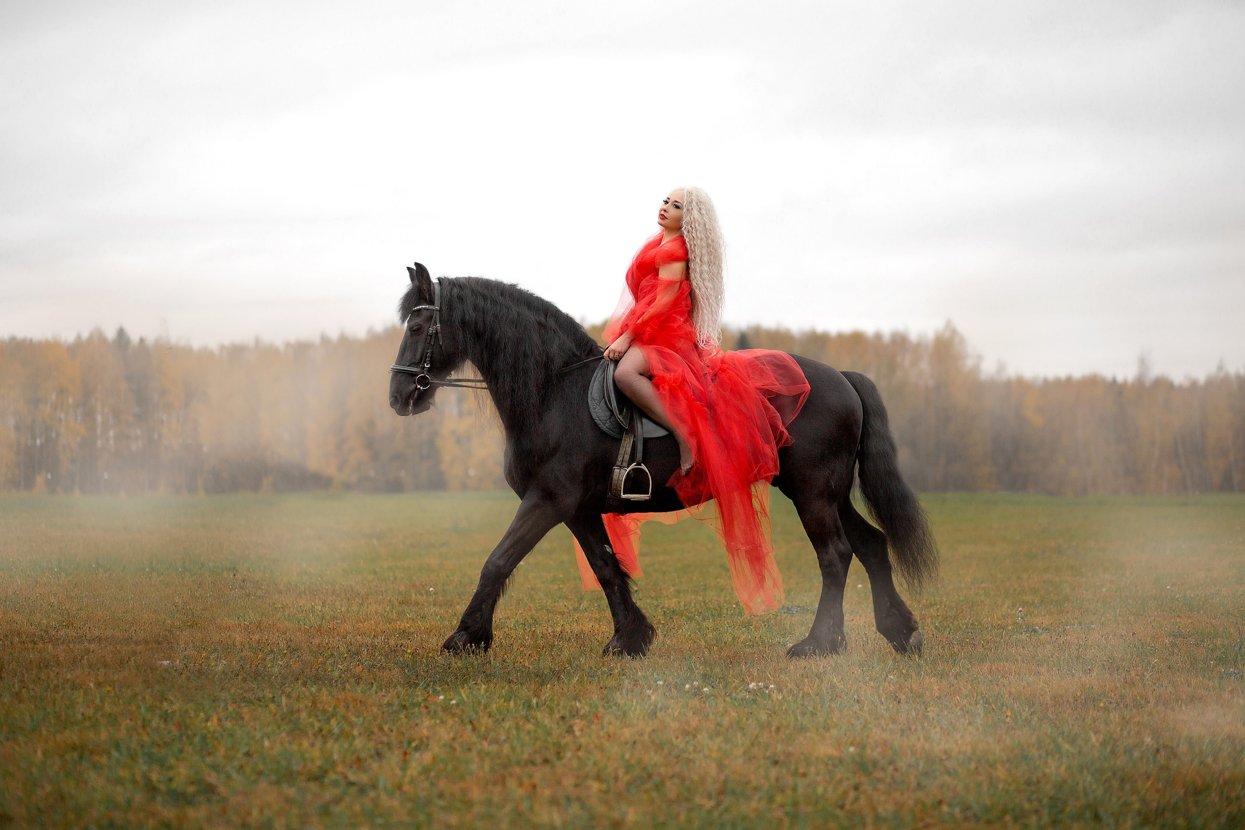 Олена и Дантес (КСК Курцево). Фотосессия с лошадьми в Нижнем Новгороде