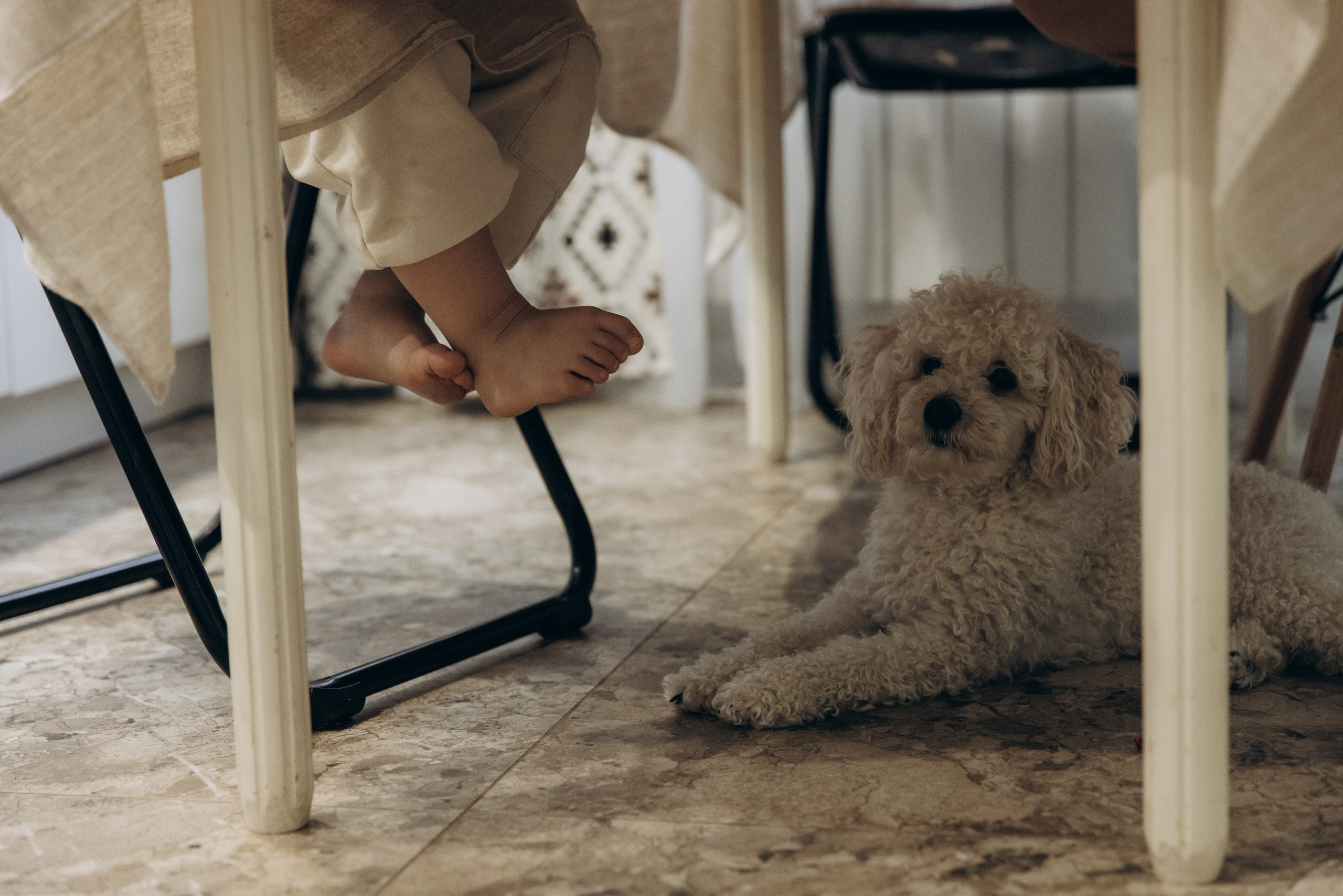 Семейная фотосессия. Ньургуйаана Тарагаева. Детский и семейный фотограф в Якутске