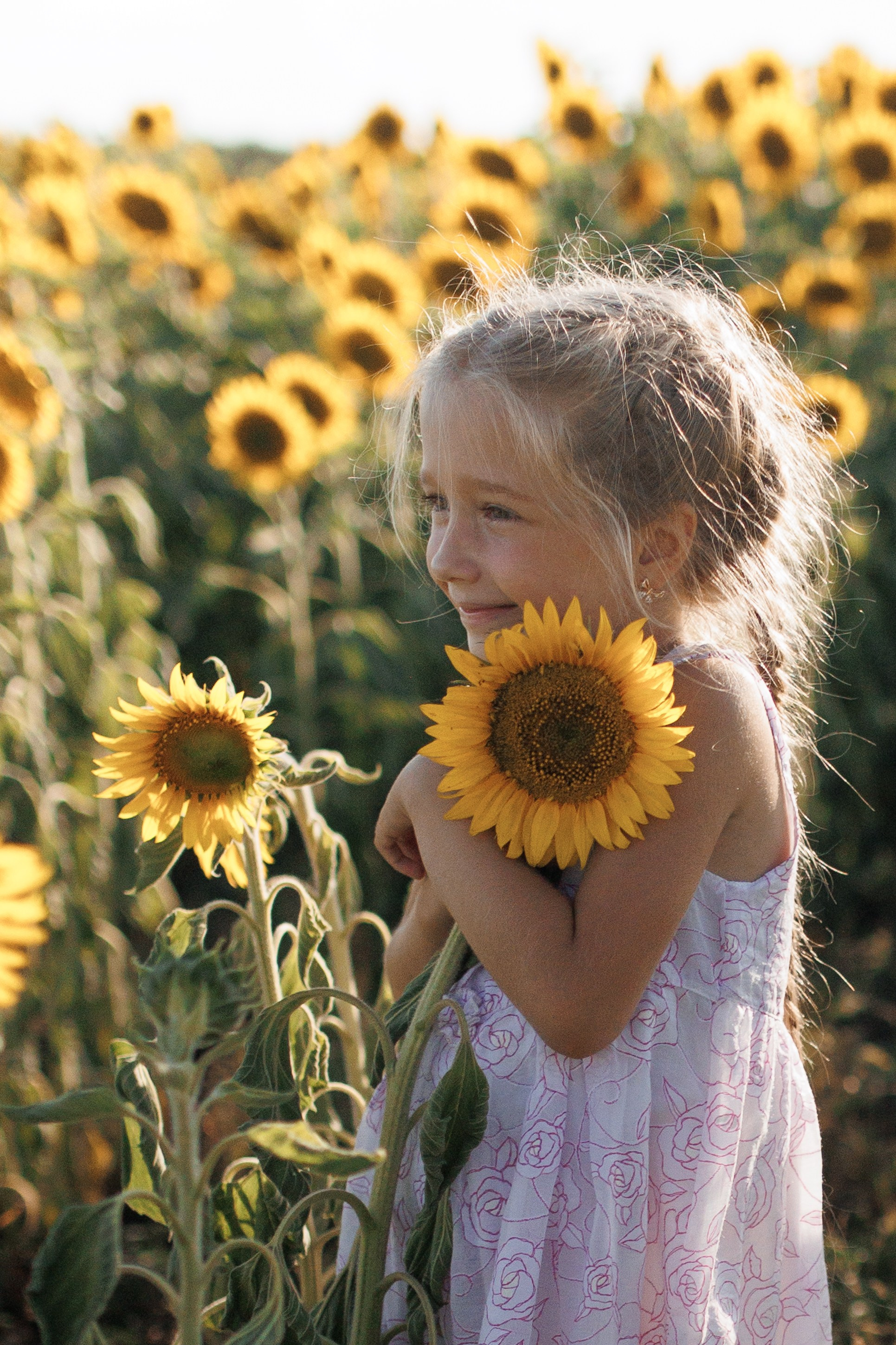 Дети и подсолнухи. Семейный фотограф lifestyle в Новосибирске Елена Шпилевая