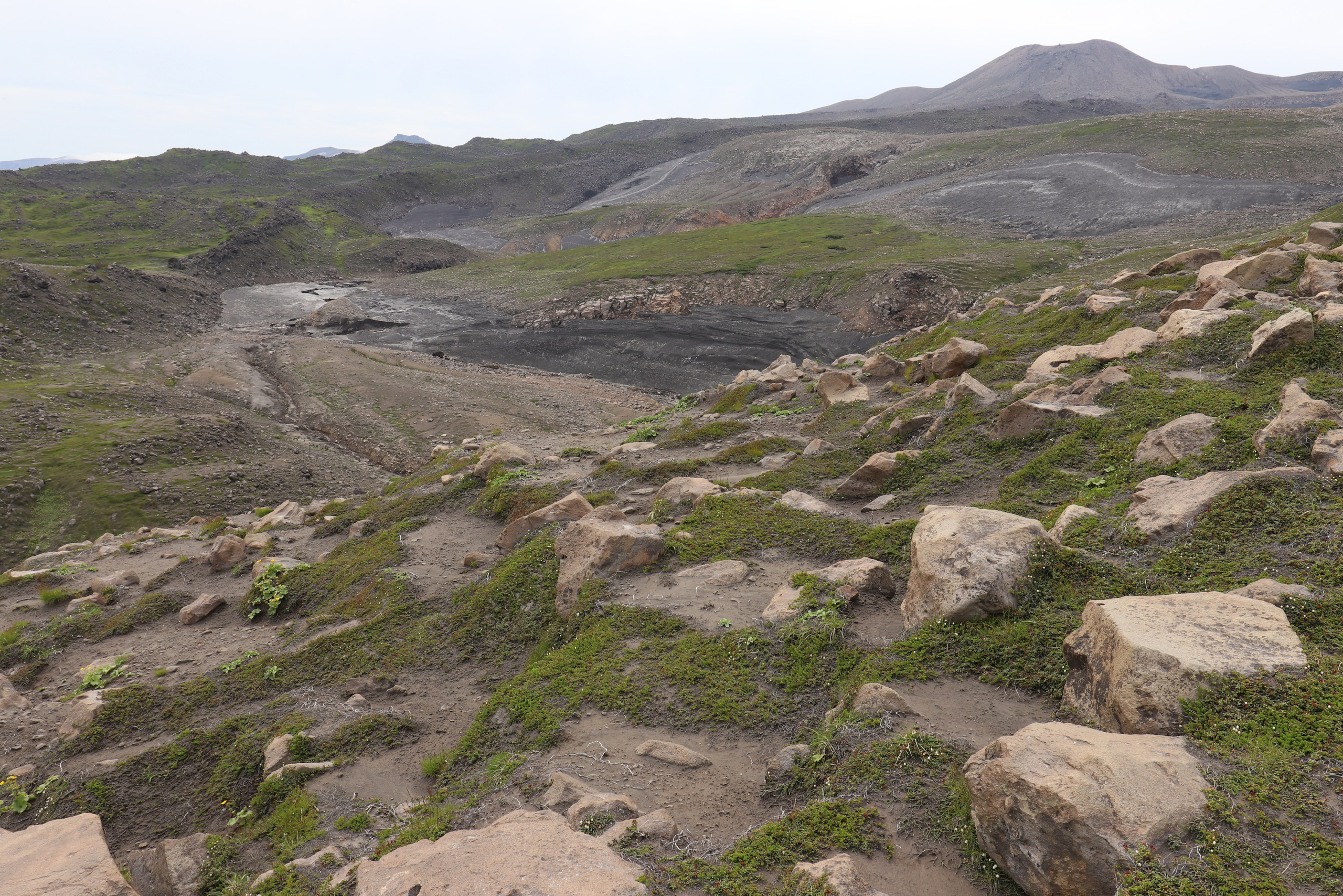 Камчатка и о. Парамушир. Июль 2024. Путешественник-фотограф из Санкт-Петербурга Татьяна Свистулина