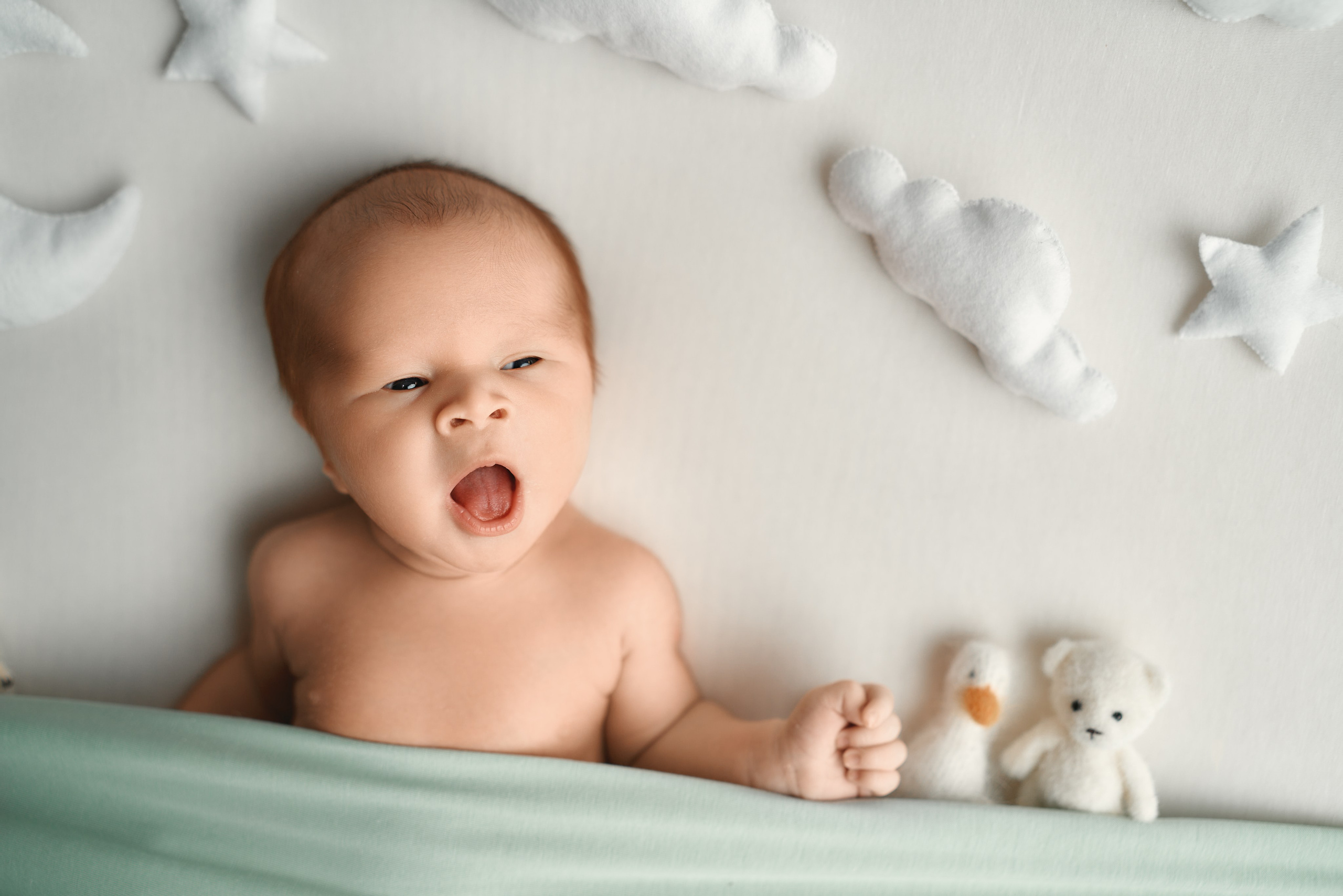 Захар. Фотограф новорожденных во Владивостоке Ромашко Виктория