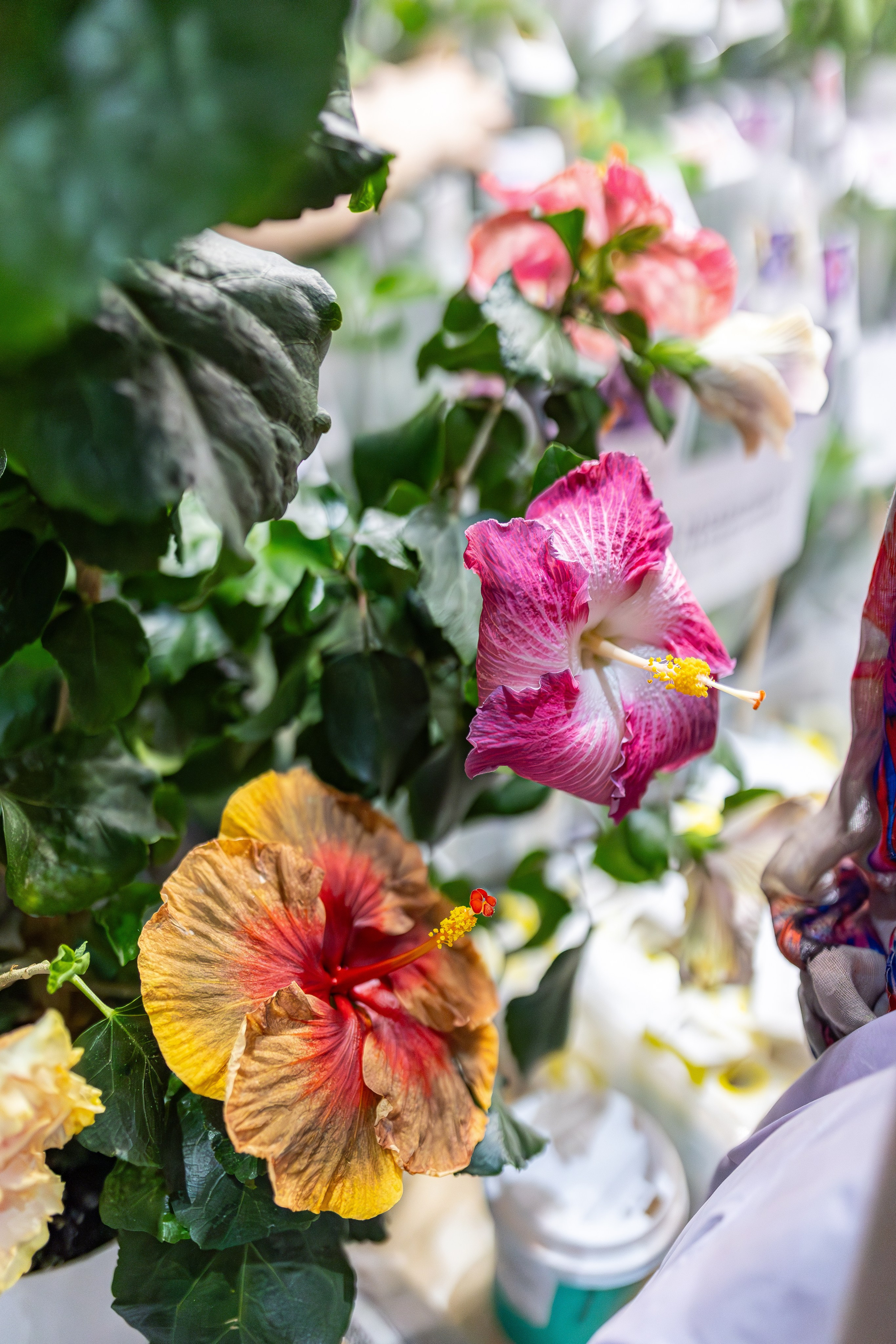 Монстериум апрель 2026. Александра Куликова фотограф, Москва