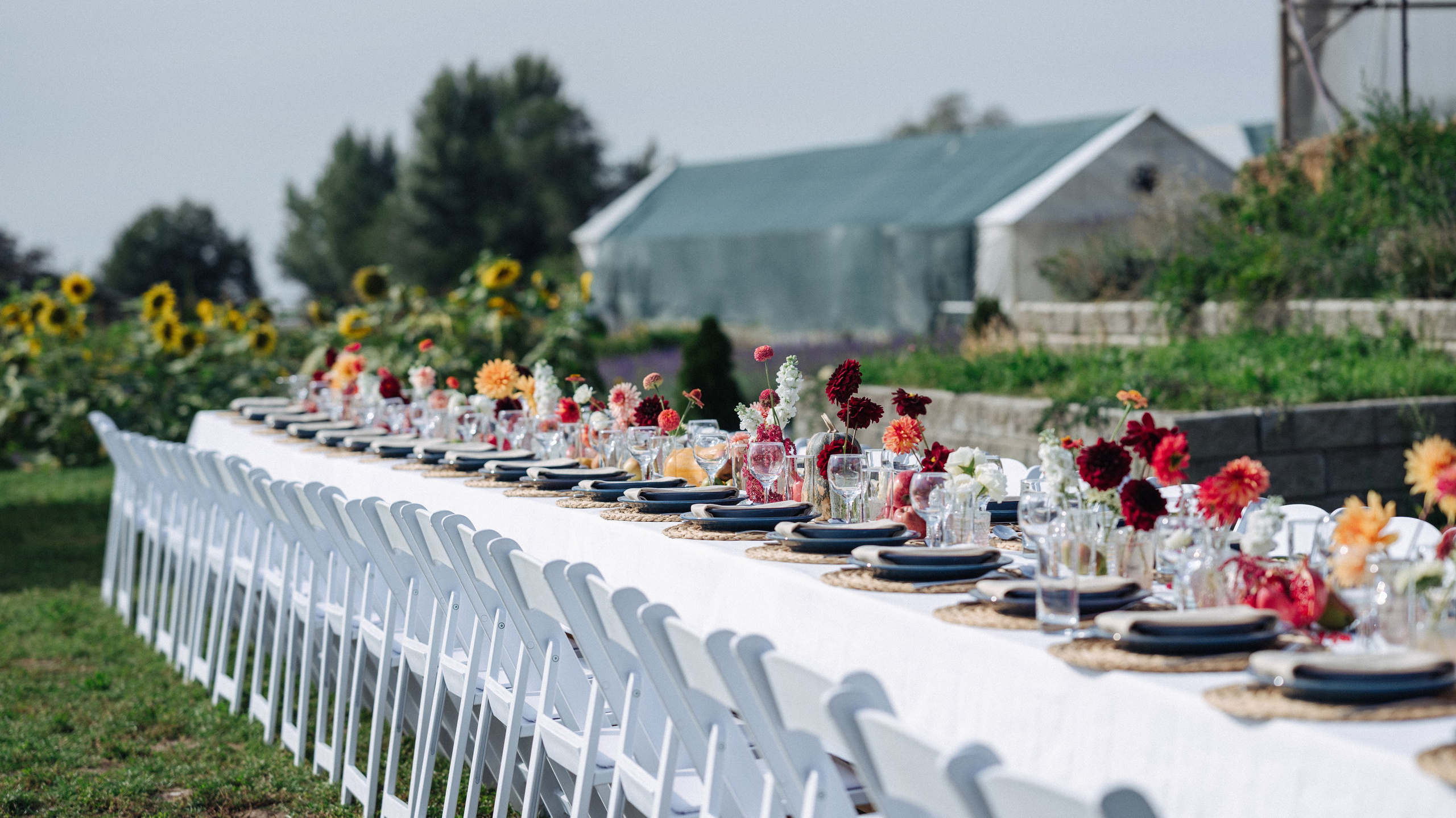 ЛЮСИ И ЭДУАРДО. Фотограф в Алматы — Дарья Фёдорова