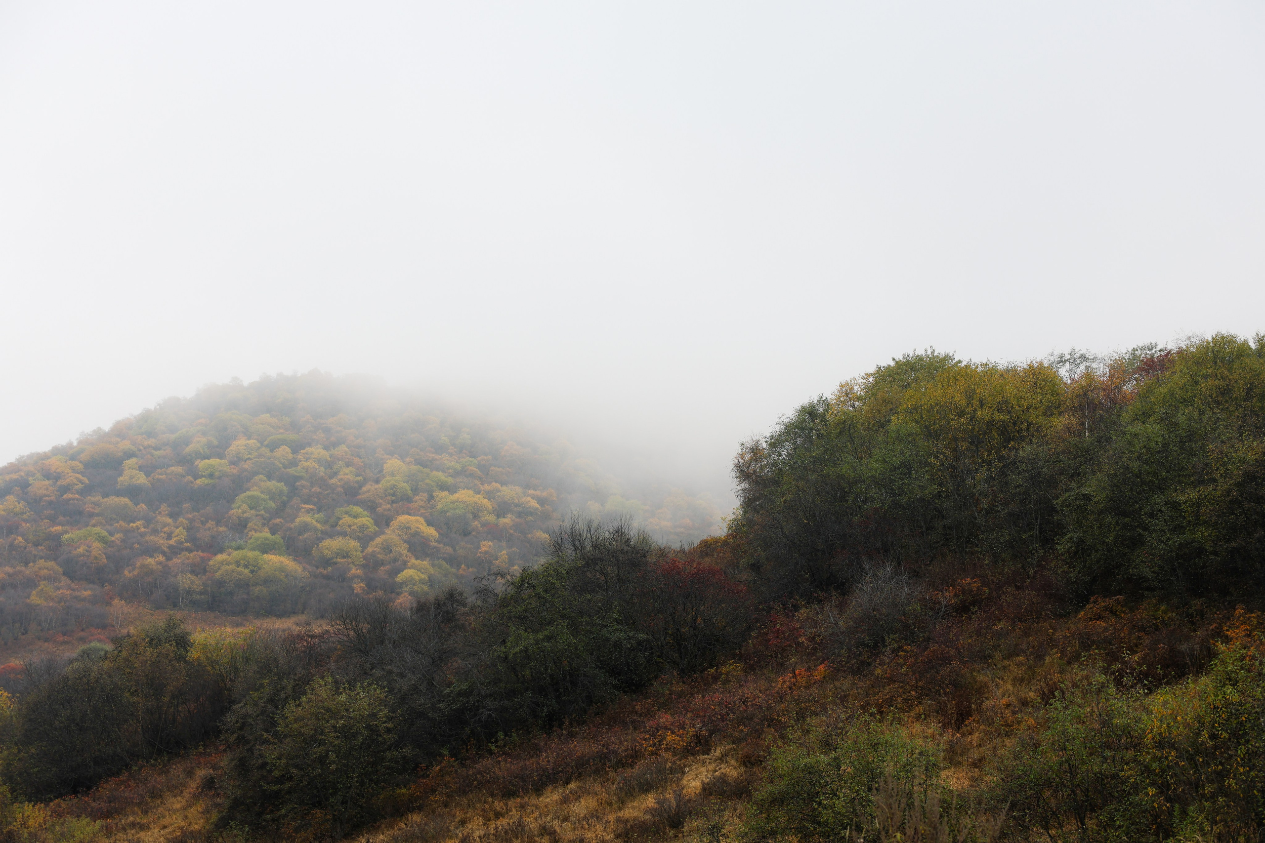 Фотограф Мария Алексеева. Мария Алексеева. Фотограф в Москве