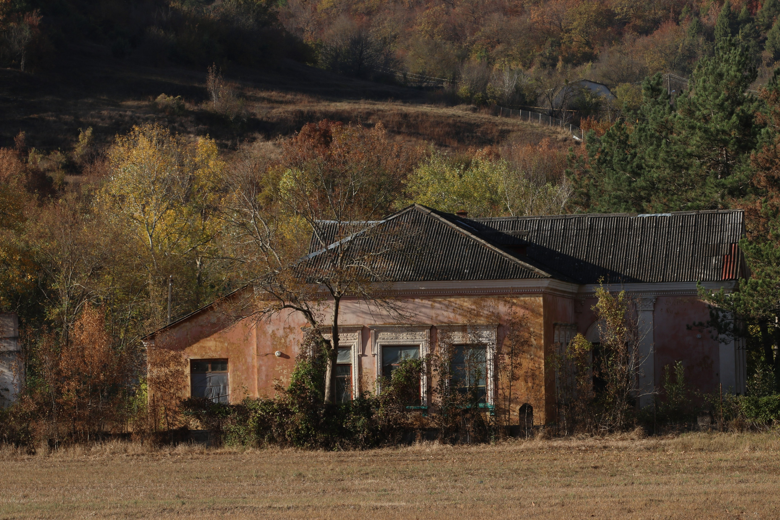 Крым. ЮБК (Гурзуф, Судак и их окрестности). Ноябрь 2023. Путешественник-фотограф из Санкт-Петербурга Татьяна Свистулина