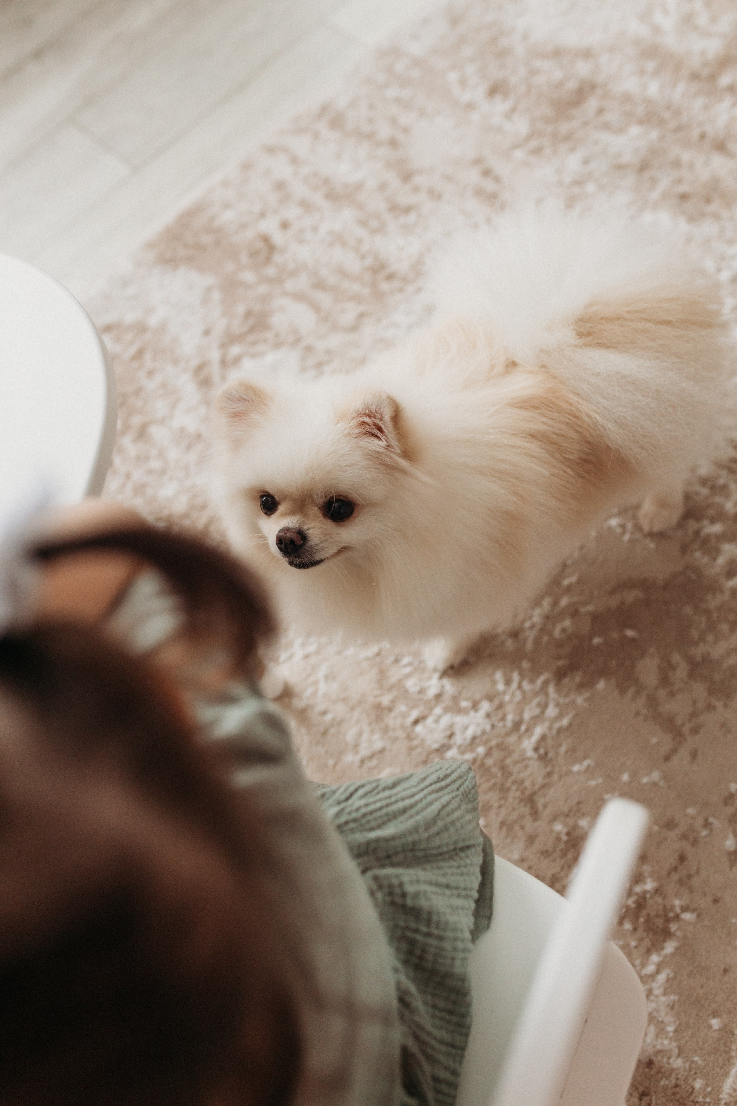 Домашняя фотосессия День Рождения Василисы. Фотограф Тверь. Свадебные, семейные, индивидуальные фотосессии