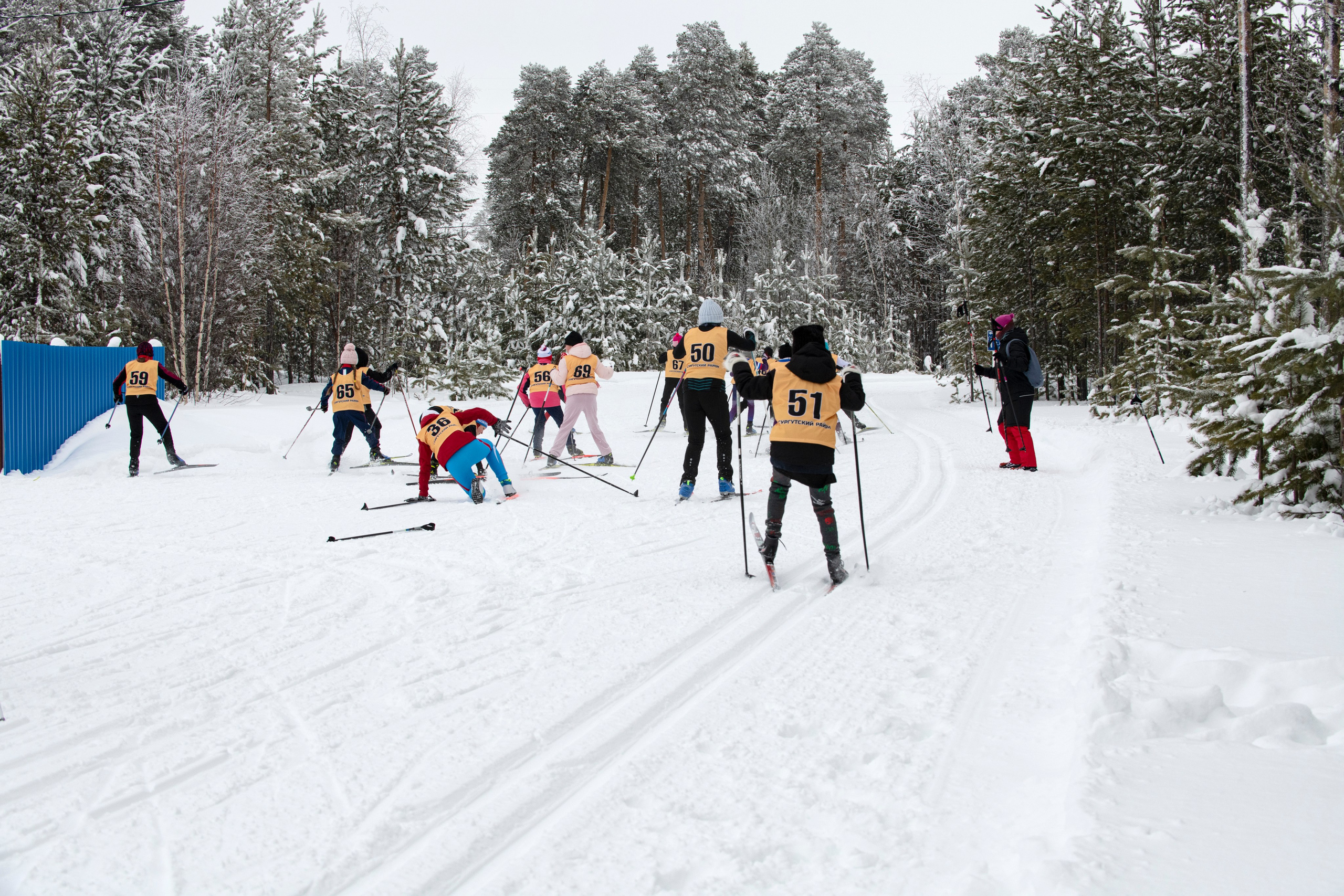 Лыжня России 2025. Репортажный и портретный фотограф Alex Dum