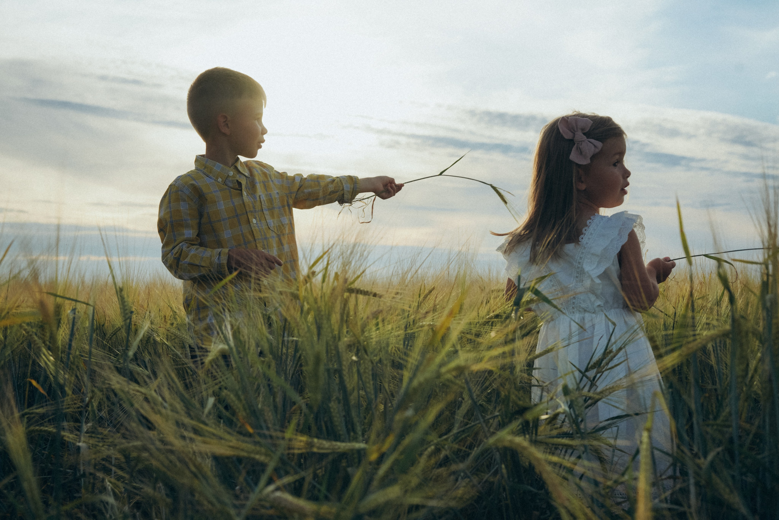 Пшеничное поле. Семейный и женский фотограф в Санкт-Петербурге Татьяна Стружкина