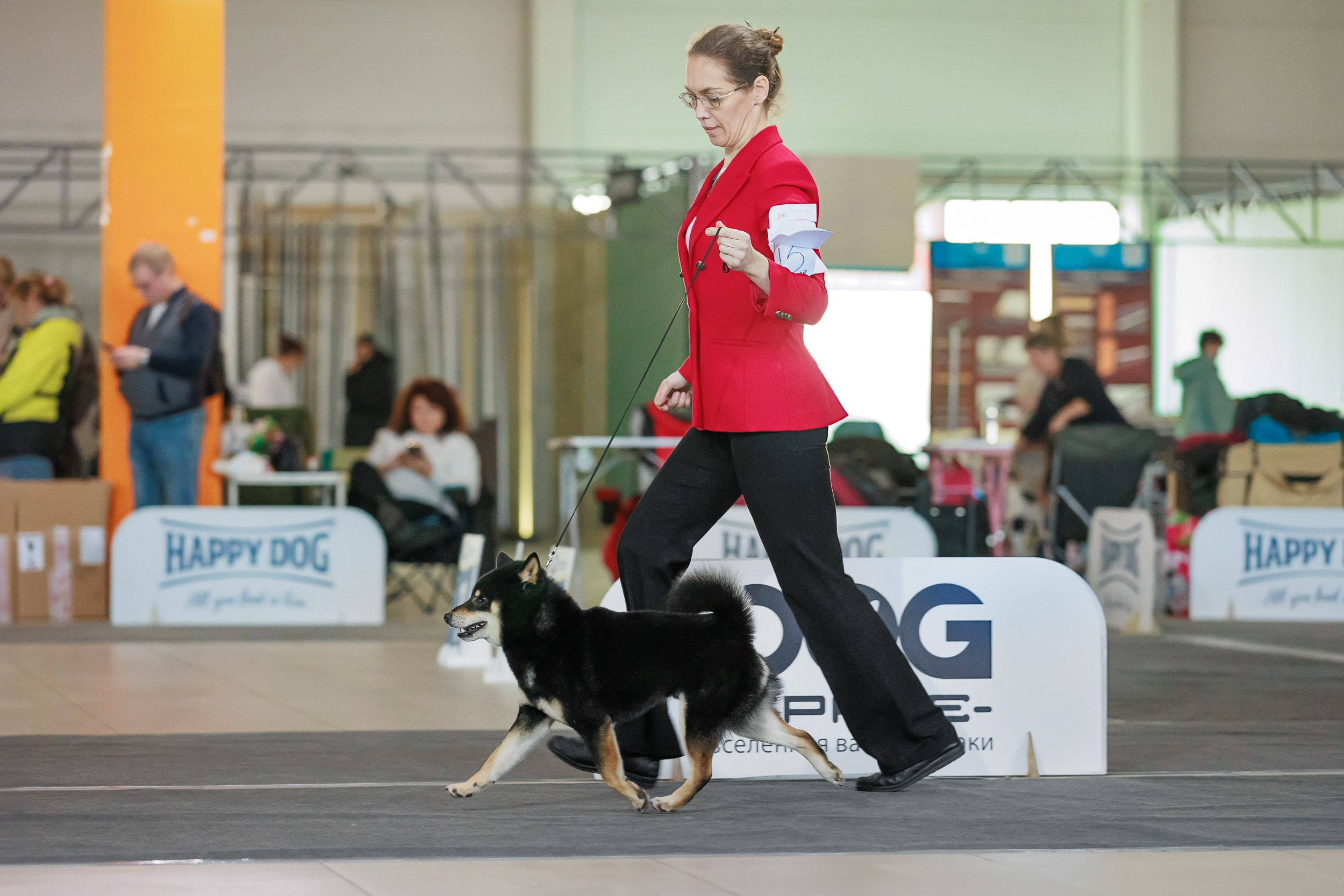 Бронницы. Фотограф анималист, семейный фотограф, фотограф собак Комратова Мария. г. Москва