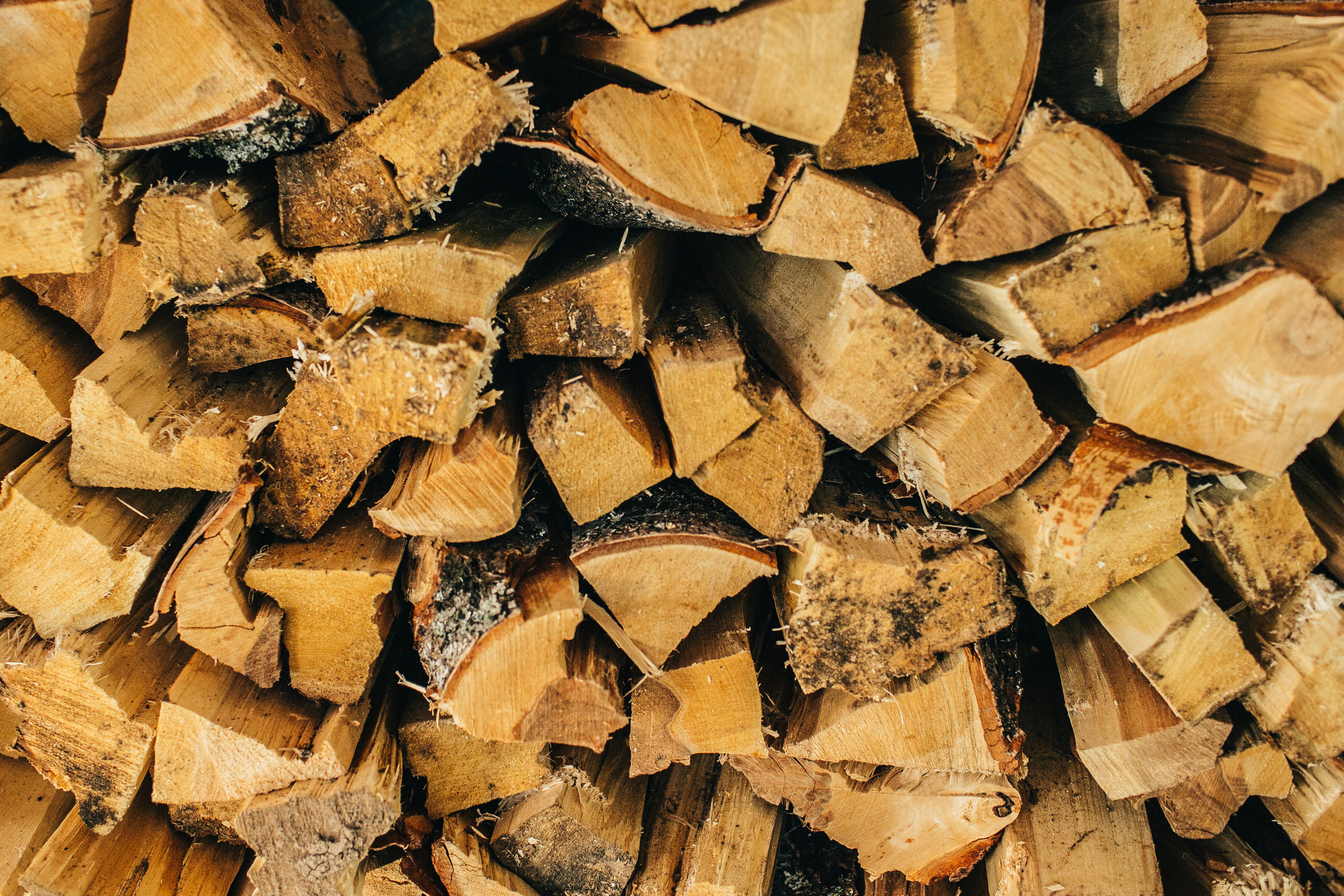 Сестра Паттерсон '22. Портфолио свадебного фотографа. Роман Каргаполов