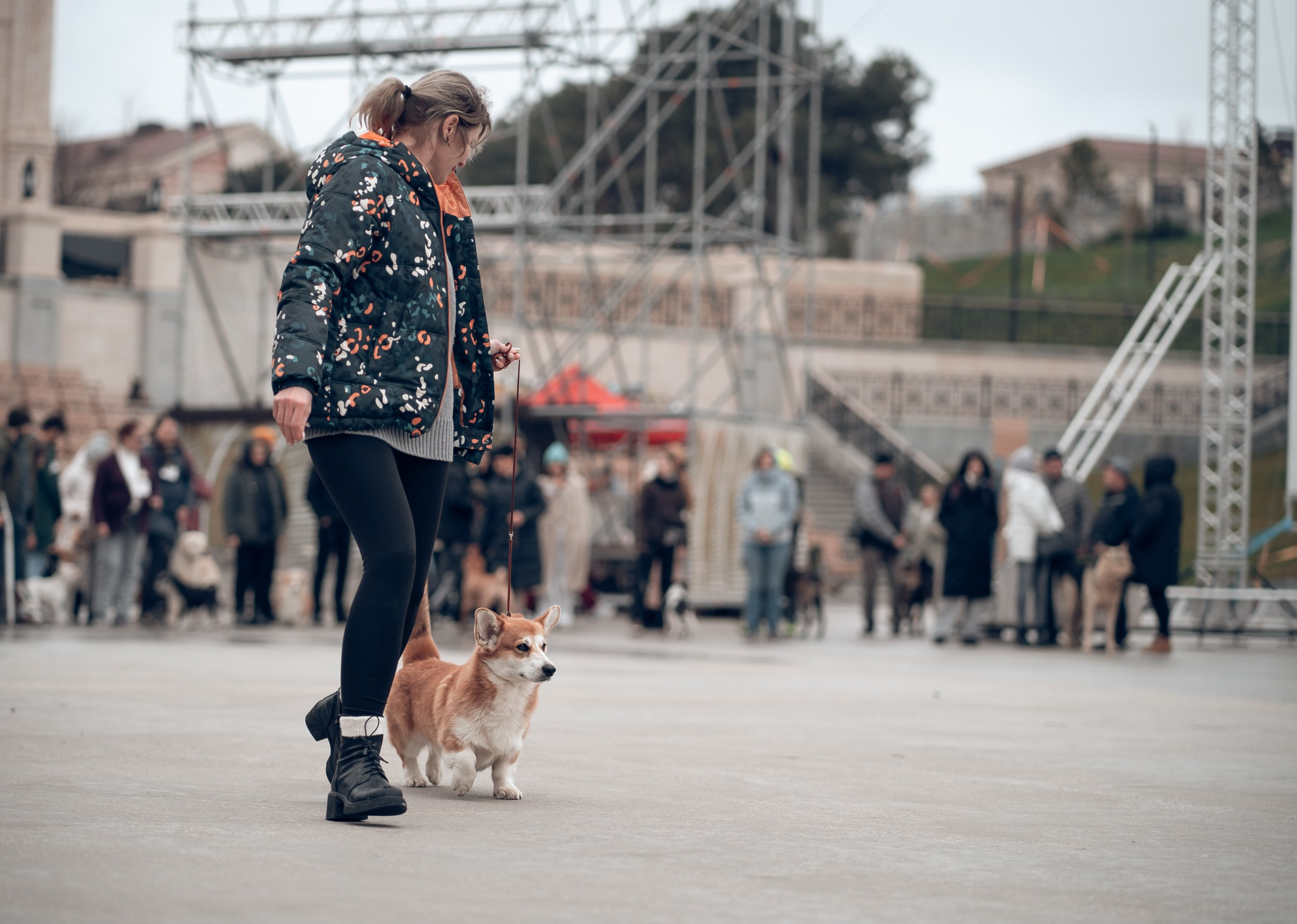 Благотворительная выставка собак в Новом Херсонесе г. Севастополь. Церковный фотограф Севастополь