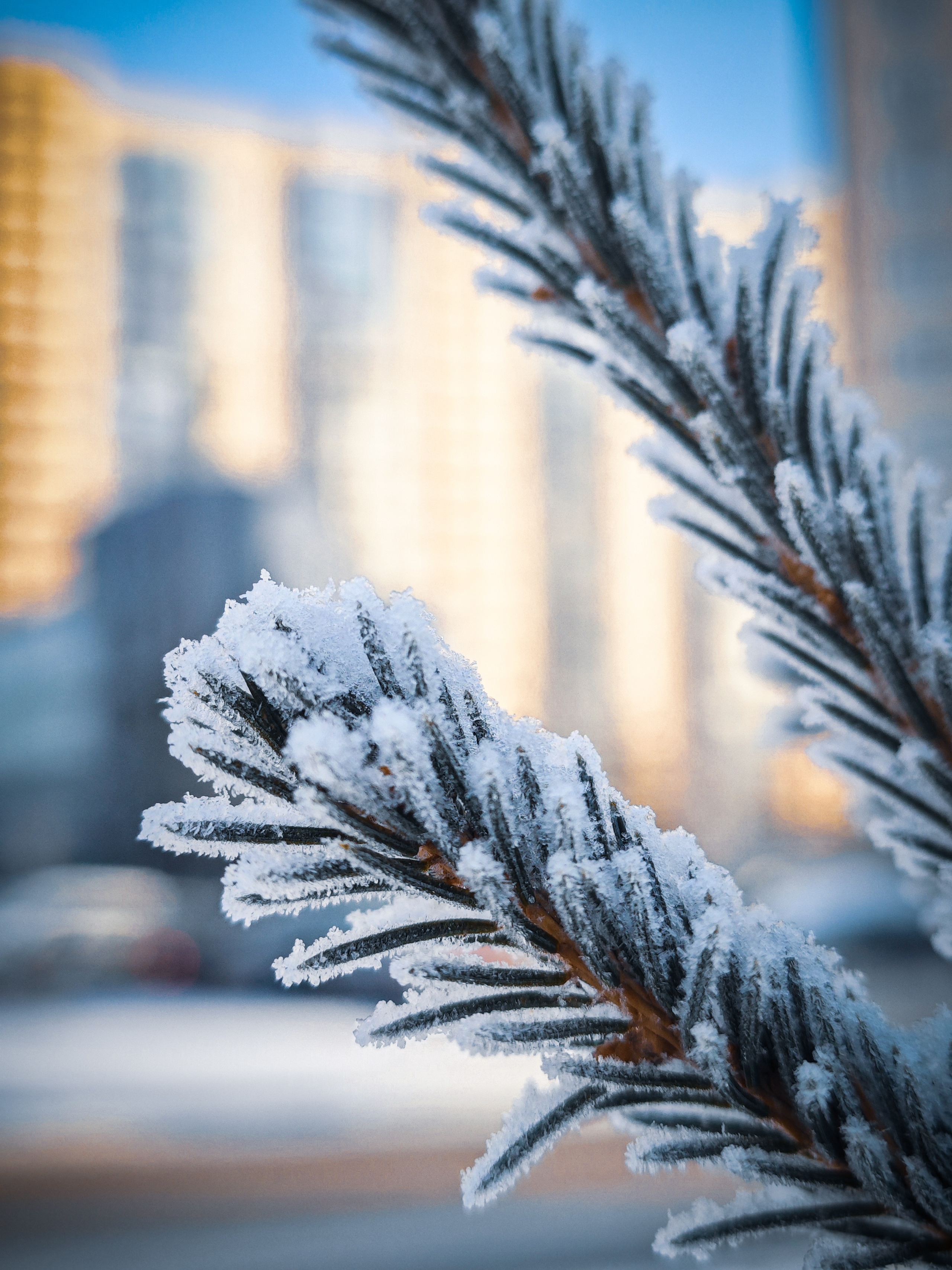 Скоро лето. Игорь Урывский. Фотограф Красноярск