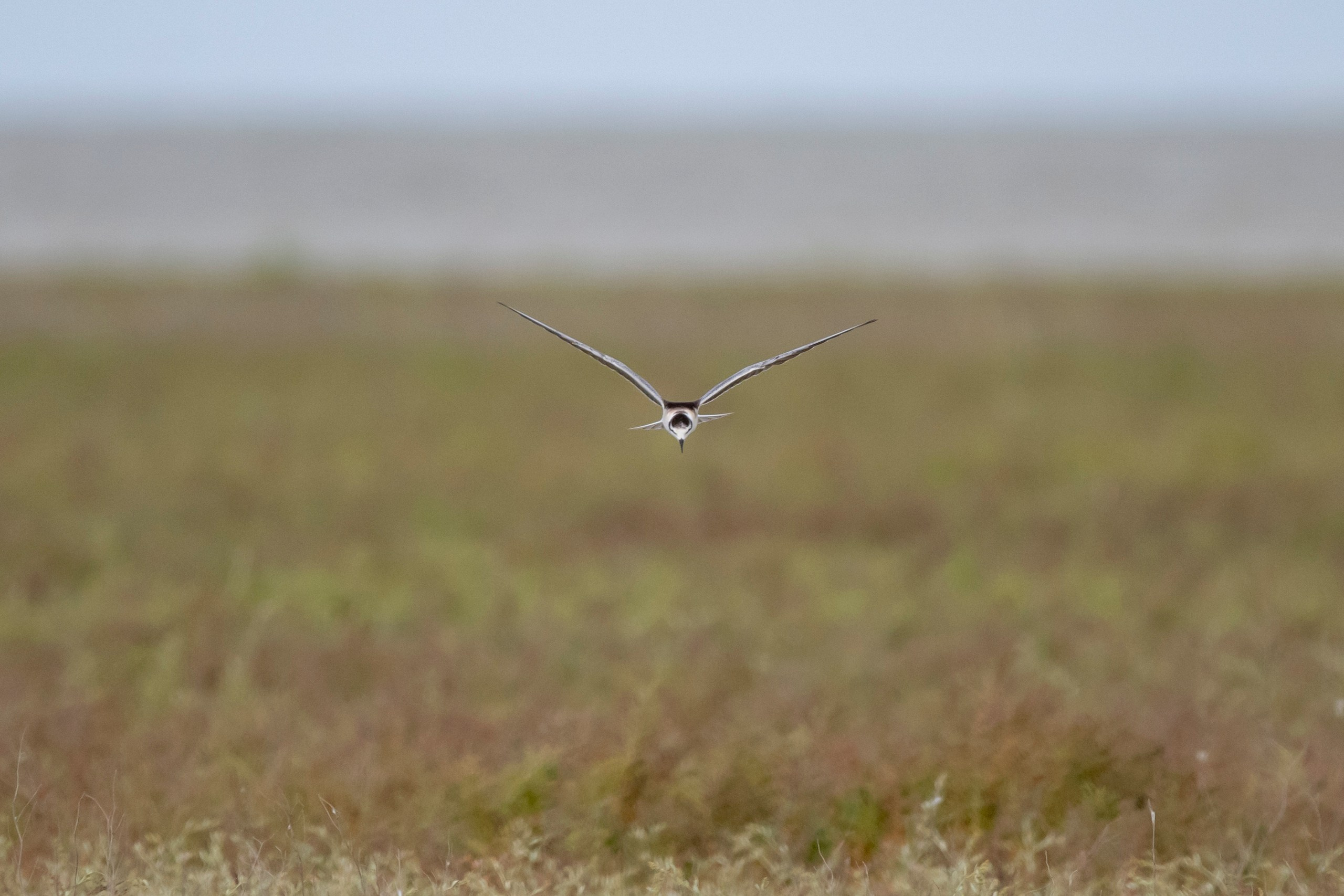 Природа Дагестана, сентябрь 2024. Foto-Zuev фотография как искусство
