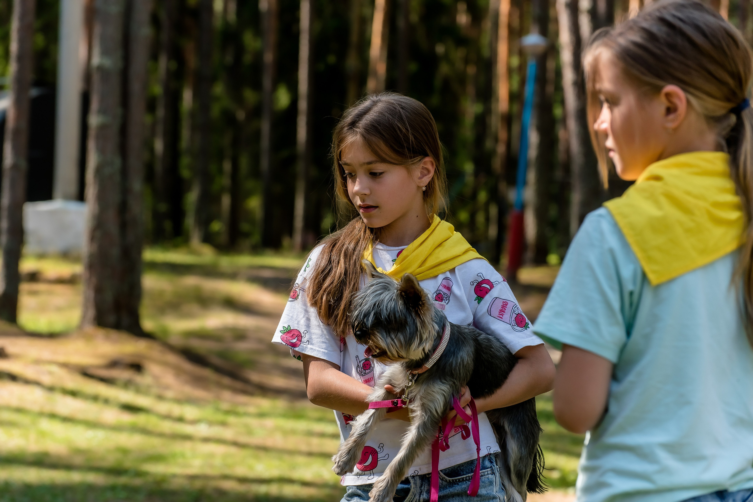 Хвостатые каникулы Детский кинологический лагерь. Фотограф Макс Огурцов в Нижнем Новгороде