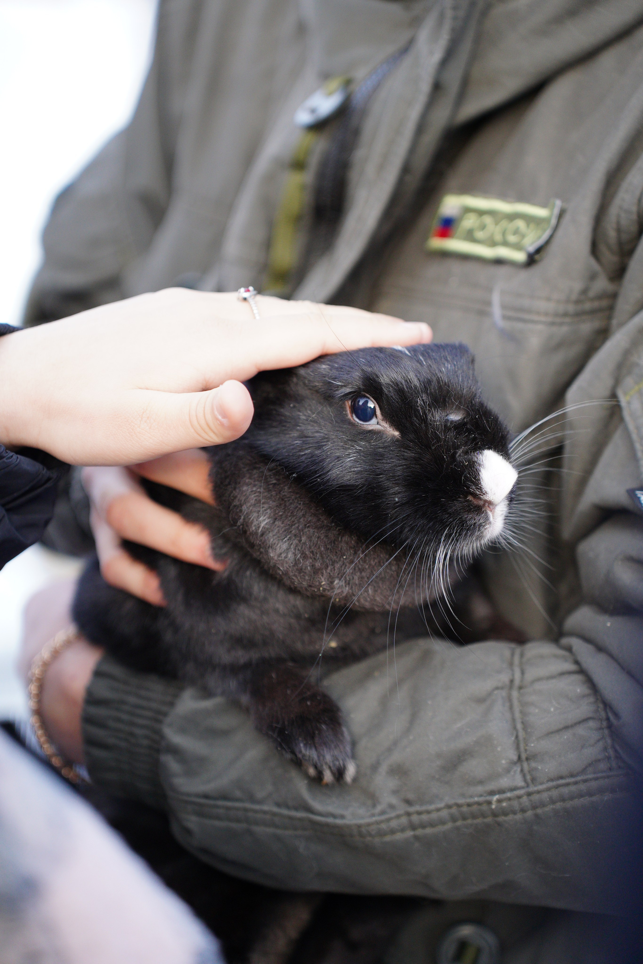 Благотворительная Акция «Ищу Человека». Pupov.png