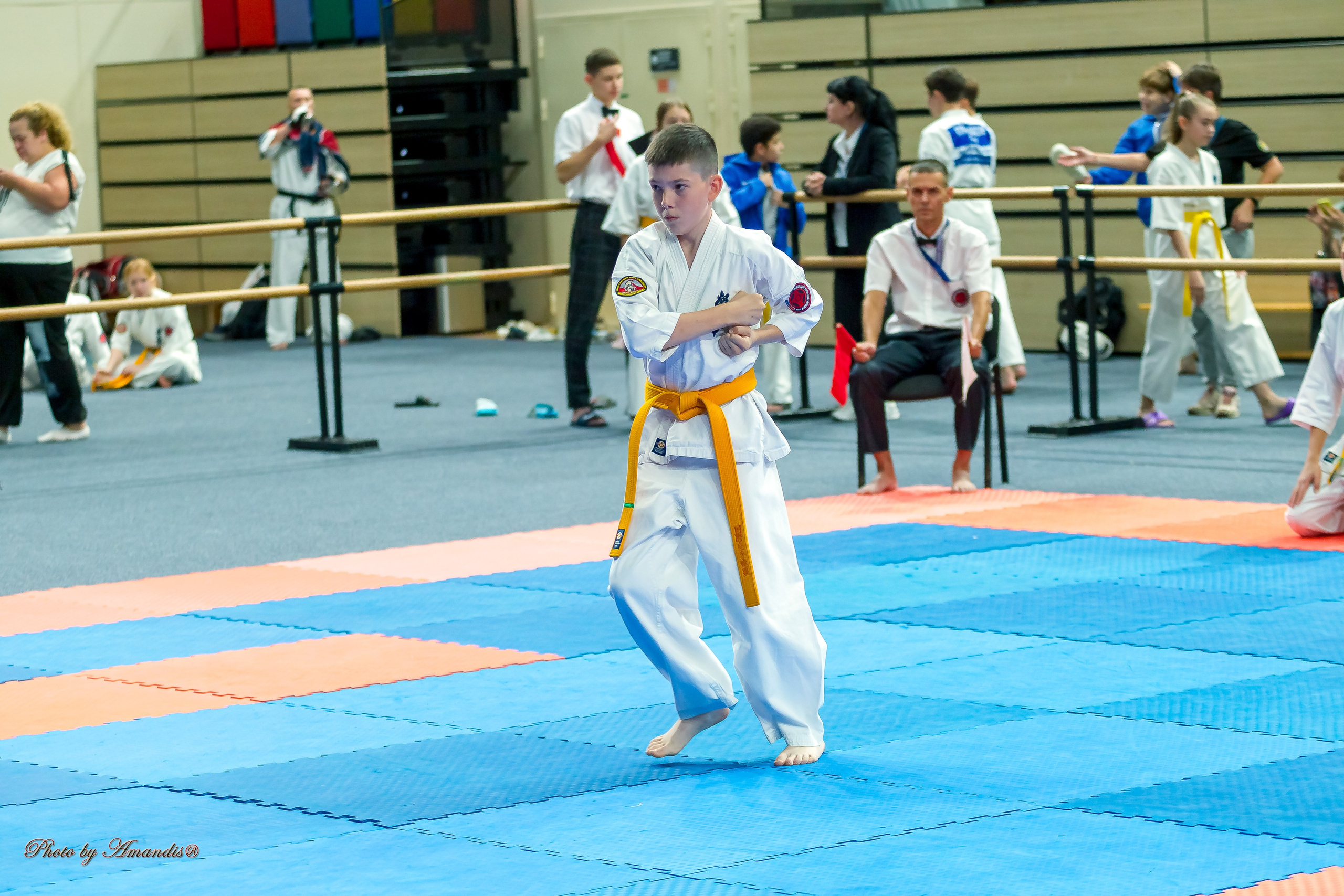 Первенство Московской области по Киокушин в СК «Жаворонки». Репортажная съемка в Москве и области. Анималистика