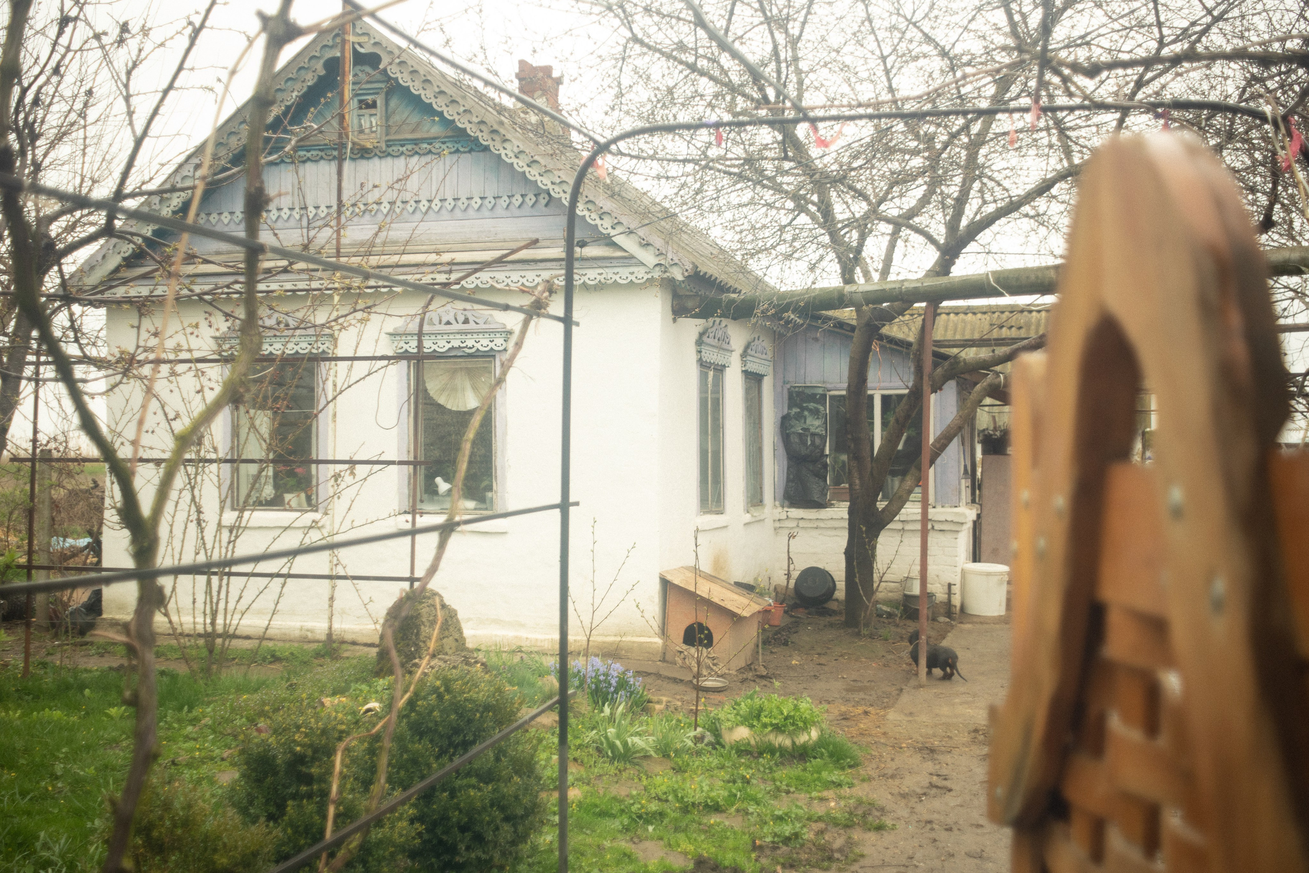 Сила Рода — фотопроект. Саша Свенская — фотограф и фоторежиссер Новороссийск, Кабардинка