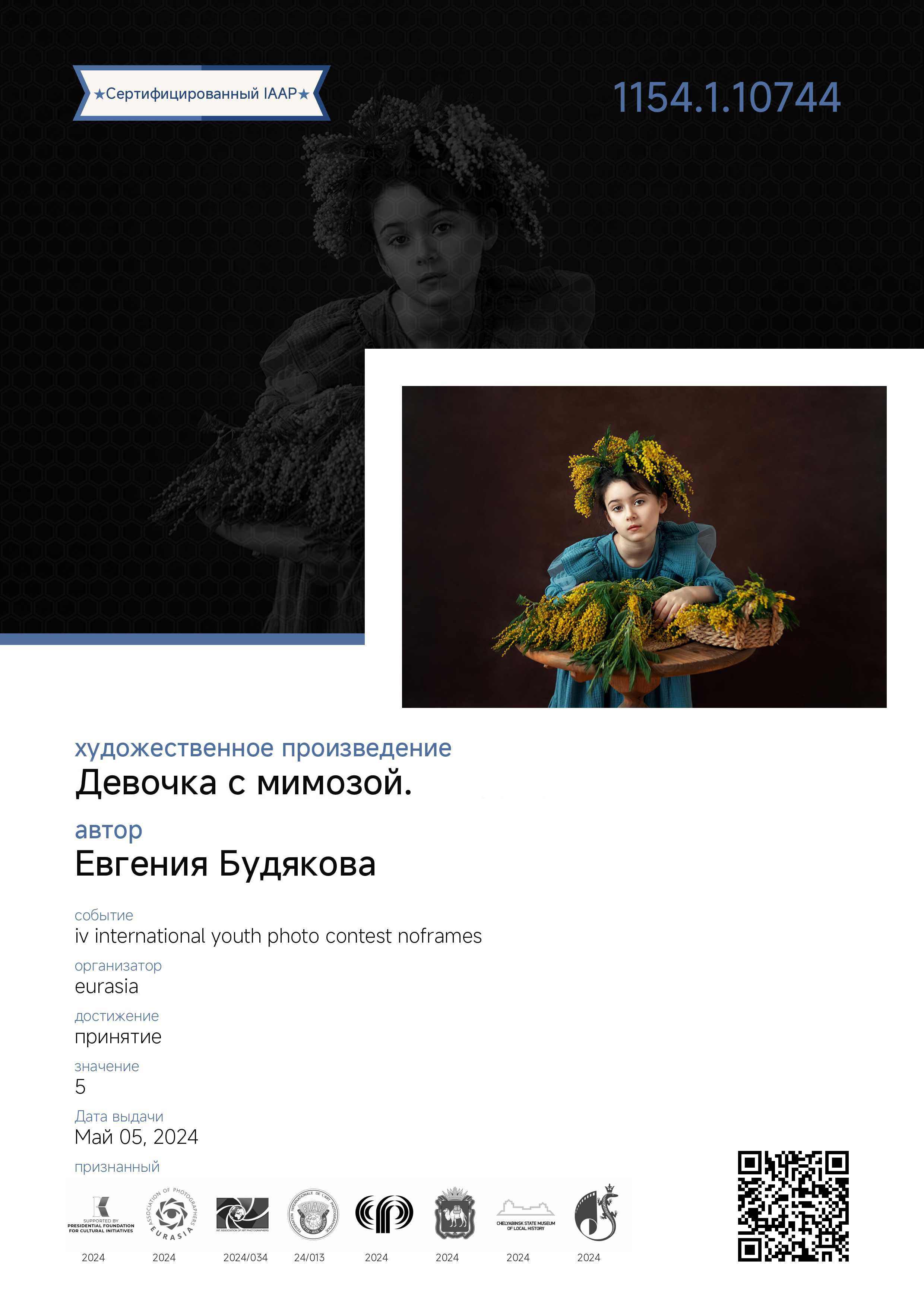 Достижения. Фотохудожник и фоторежиссёр Евгения Будякова