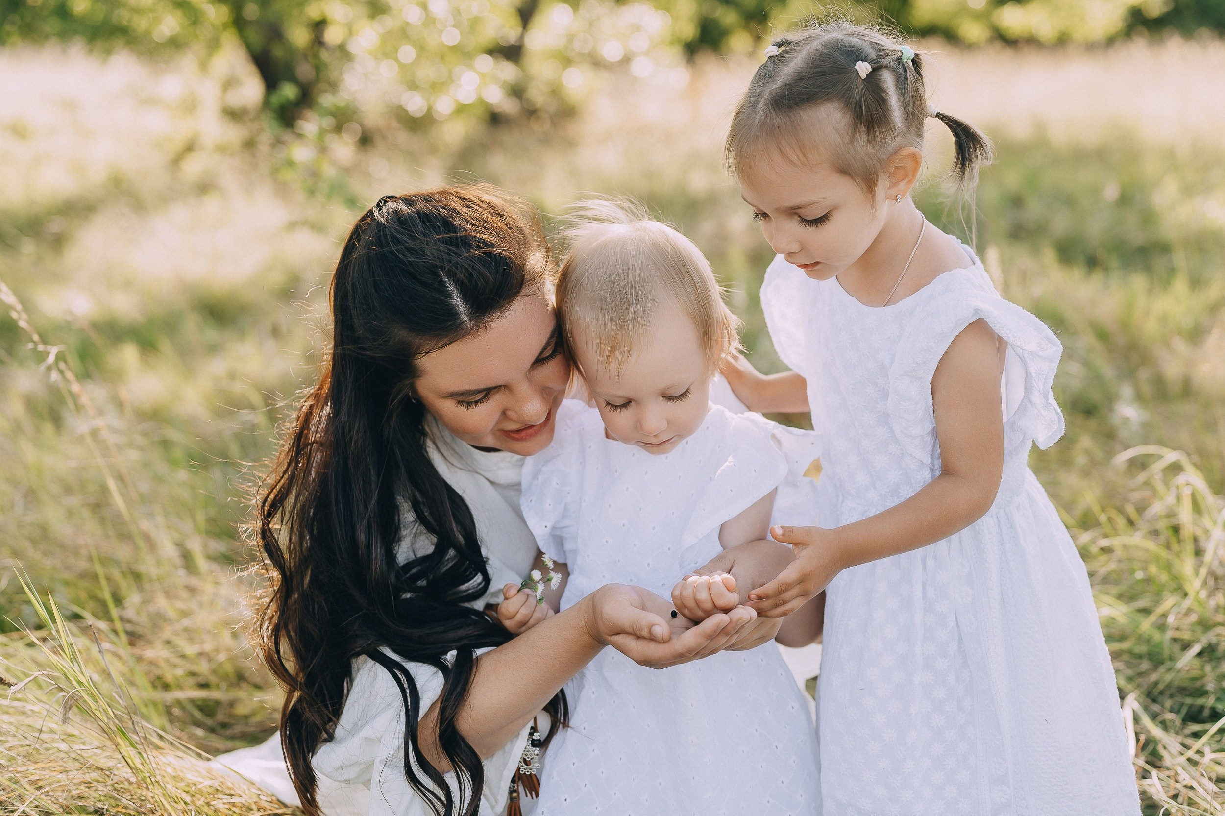 Family. Главная