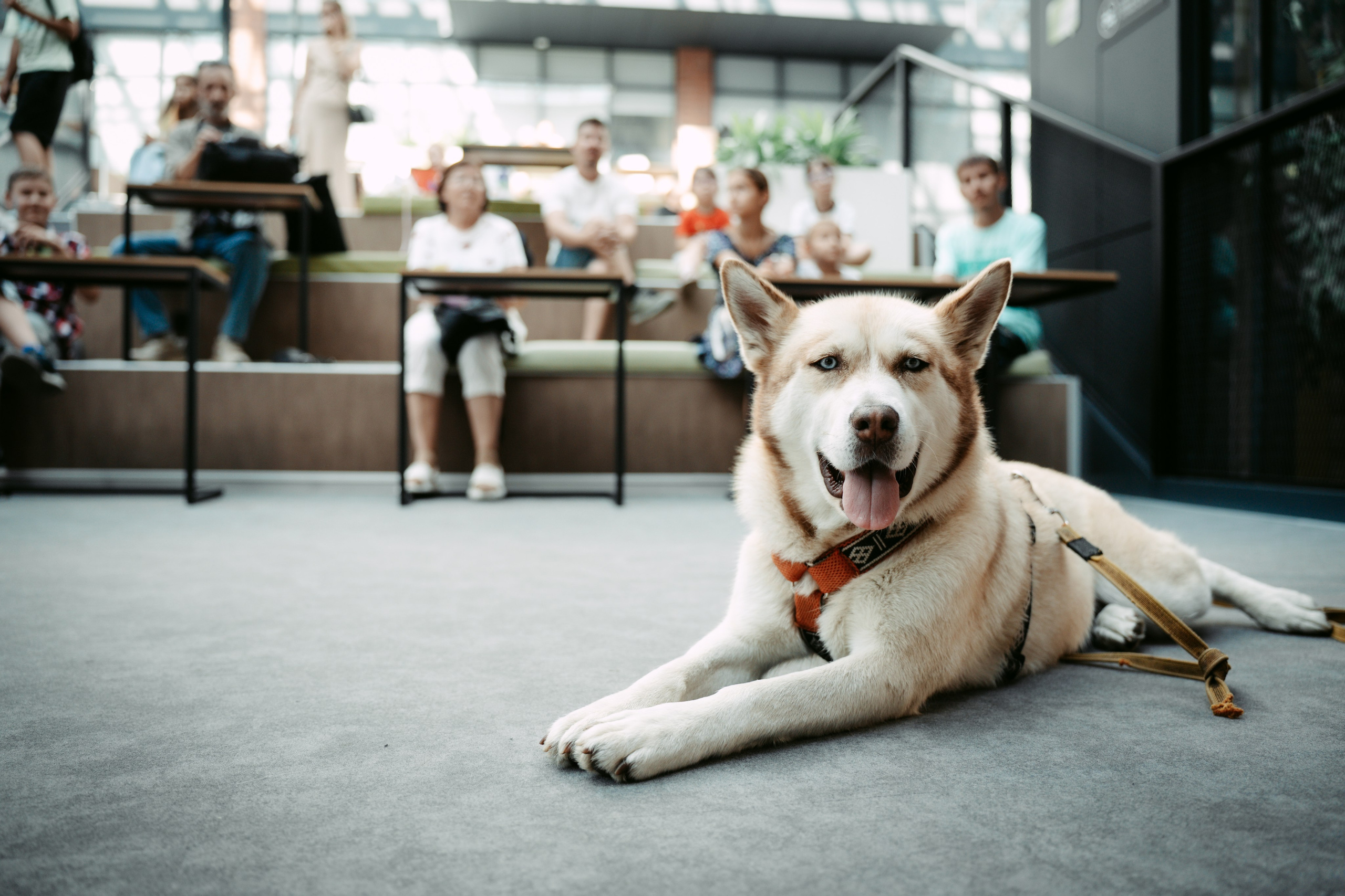 День рождения Арт-центра. Главная