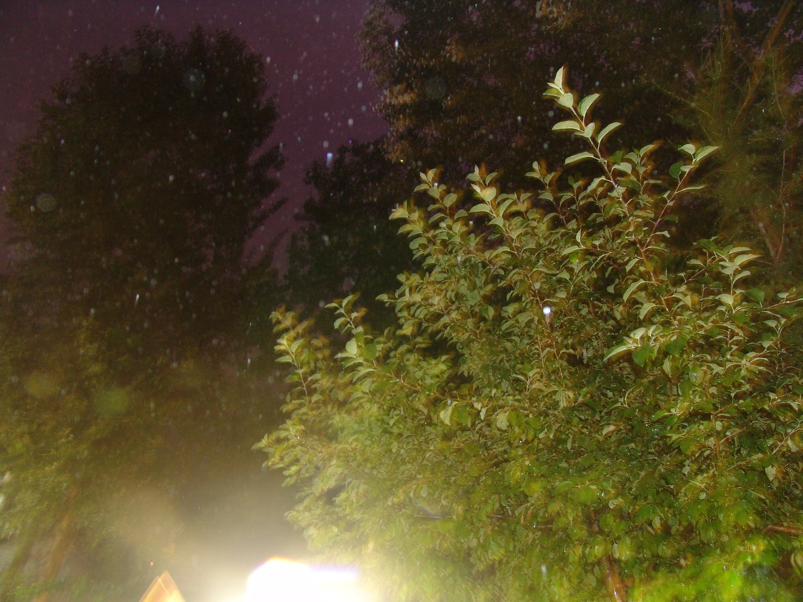 Ергали 11 08 2005. Заставка