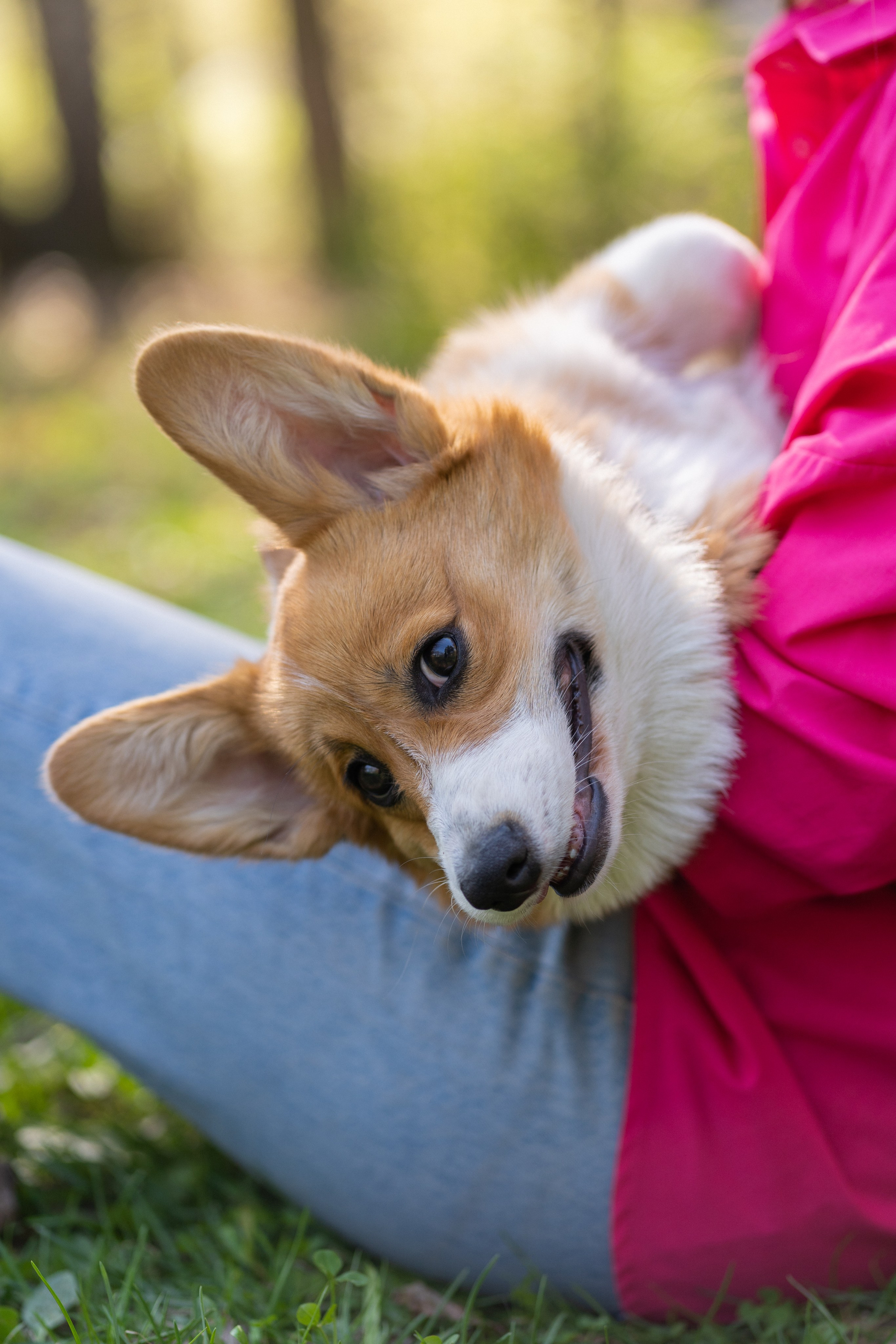 Саша, Настя, Луна. Свадебный фотограф в Москве Анна Полушина